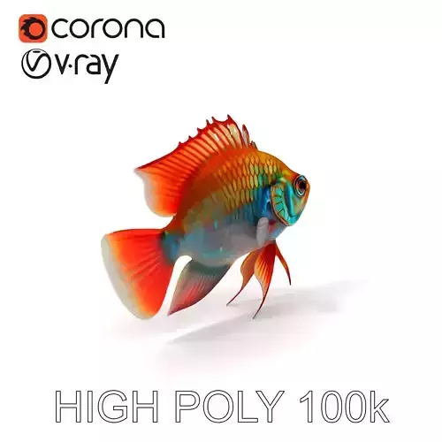 Colorful Tropical Fish Model Pack for Aquatic Environments Low-poly 3D model