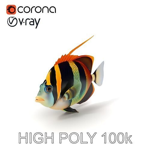 Tropical Fish Model Pack for Animation and Games Low-poly 3D model
