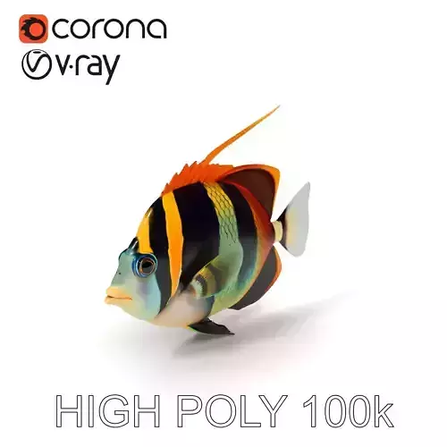 Tropical Fish Model Pack for Animation and Games Low-poly 3D model