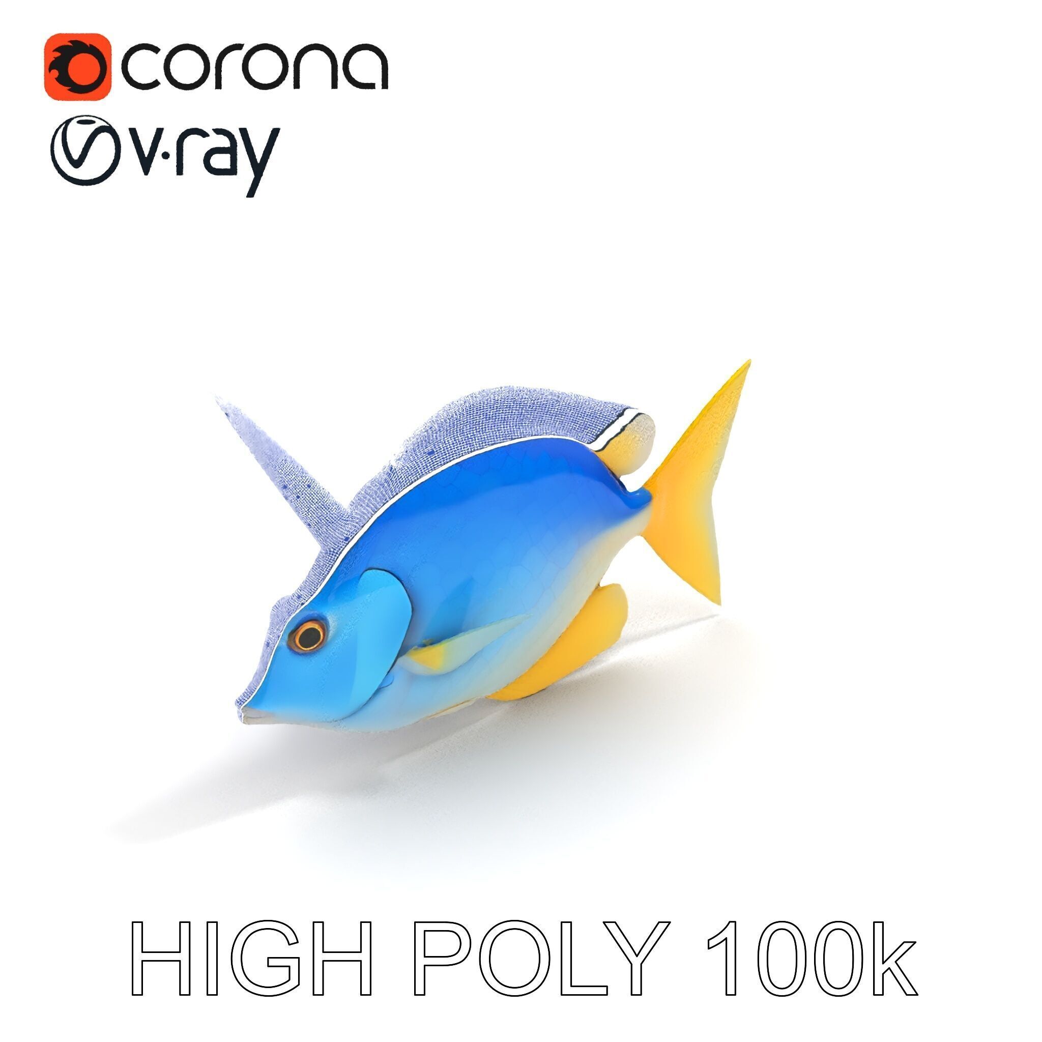 Colorful Fish Model Pack with Detailed Textures Low-poly 3D model_11