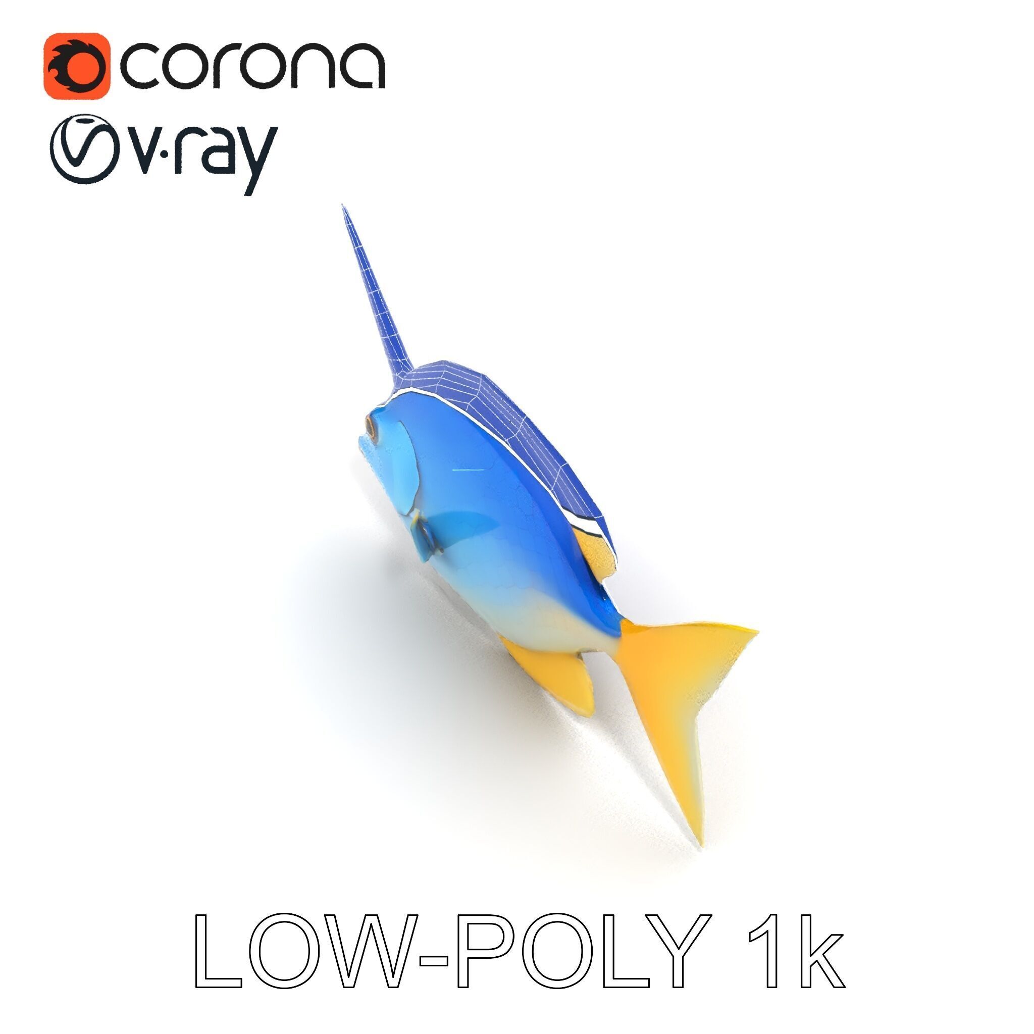 Colorful Fish Model Pack with Detailed Textures Low-poly 3D model_7