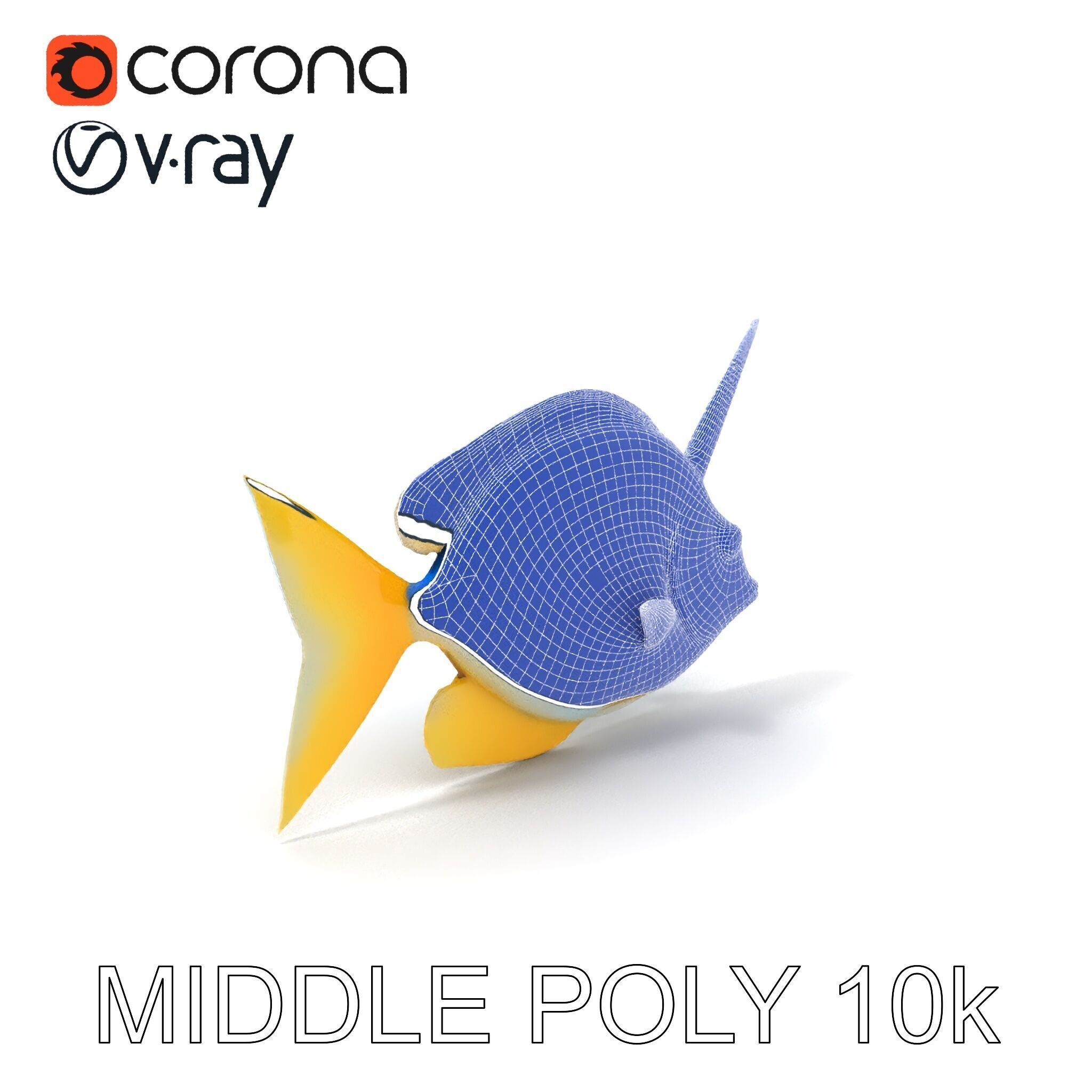Colorful Fish Model Pack with Detailed Textures Low-poly 3D model_18