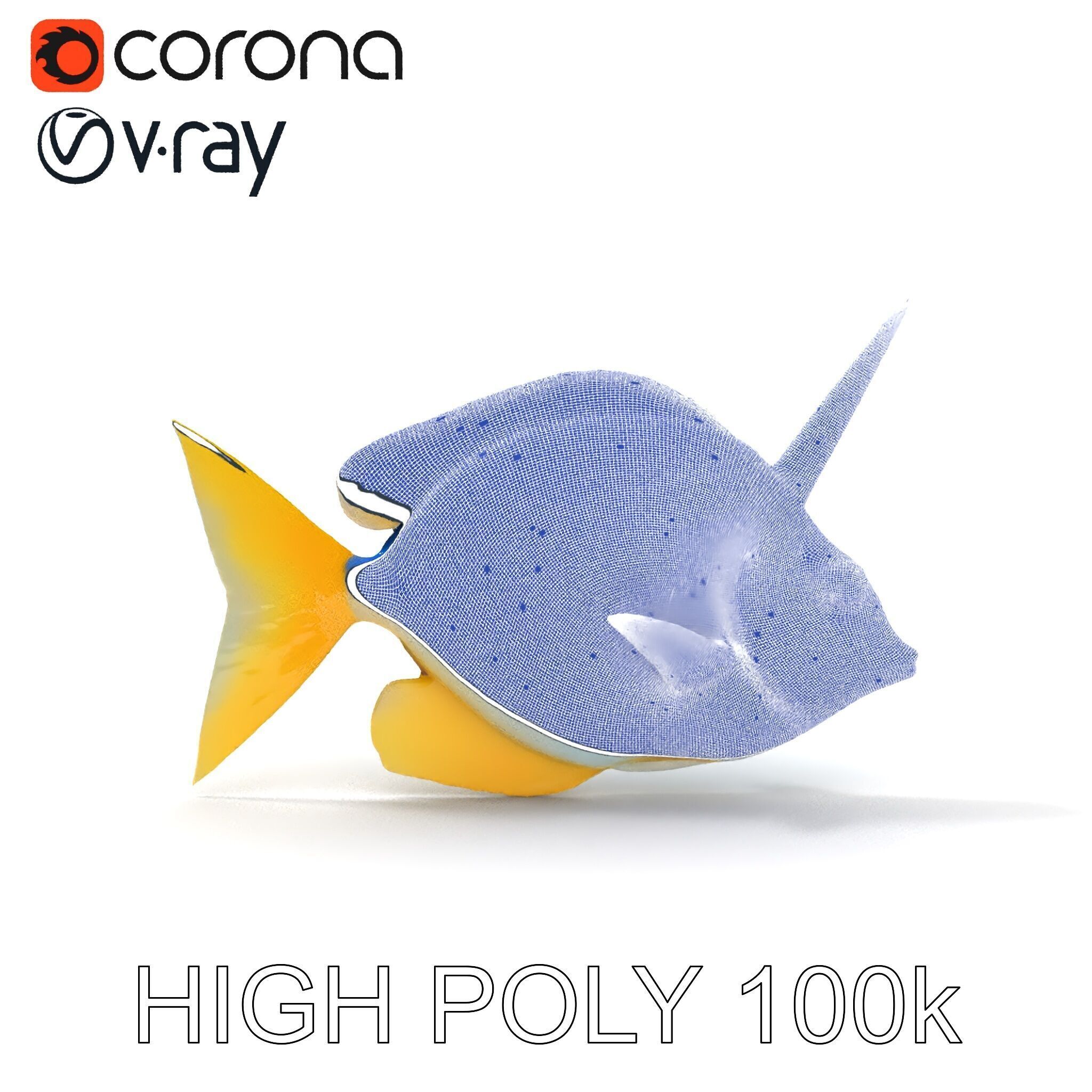 Colorful Fish Model Pack with Detailed Textures Low-poly 3D model_14
