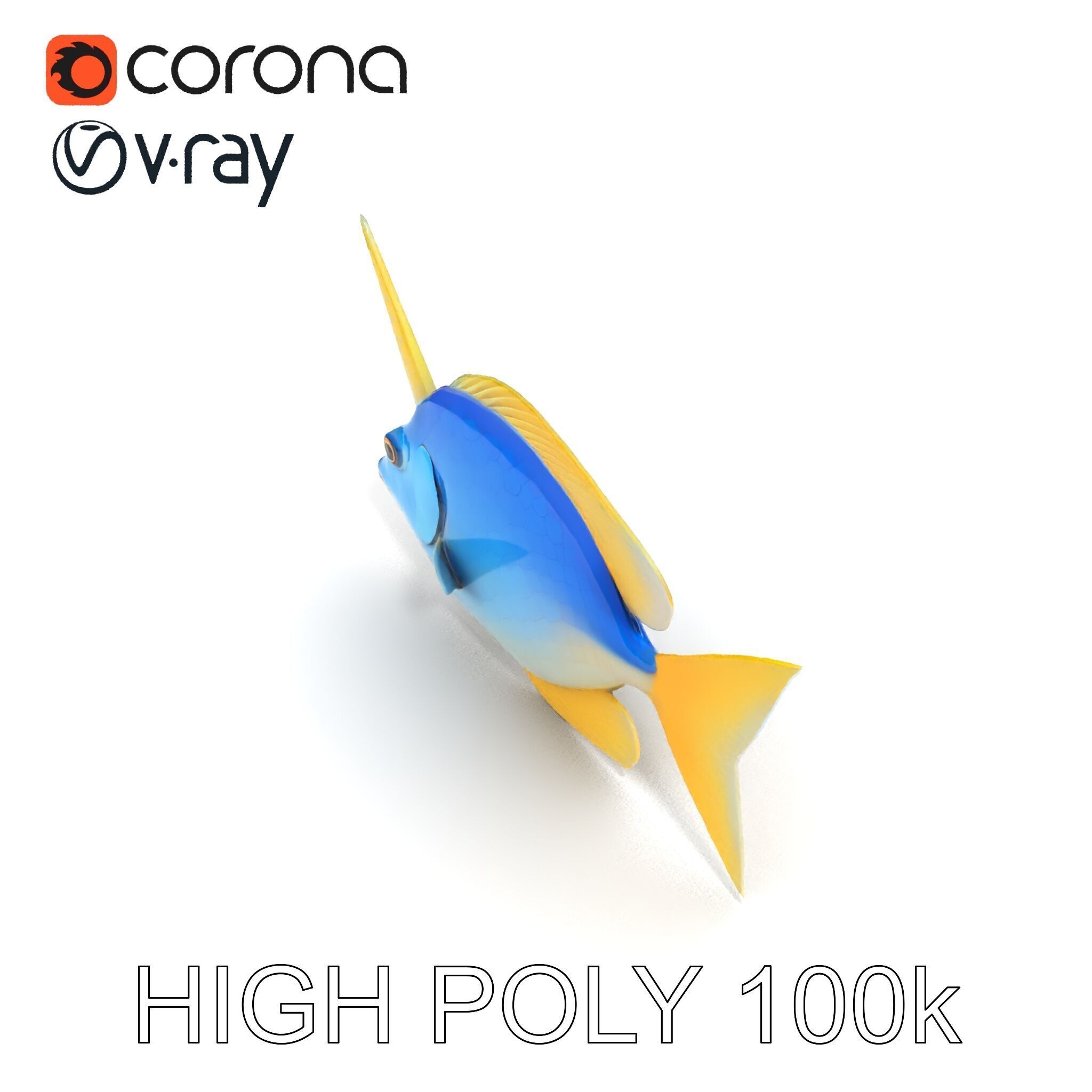 Colorful Fish Model Pack with Detailed Textures Low-poly 3D model_35