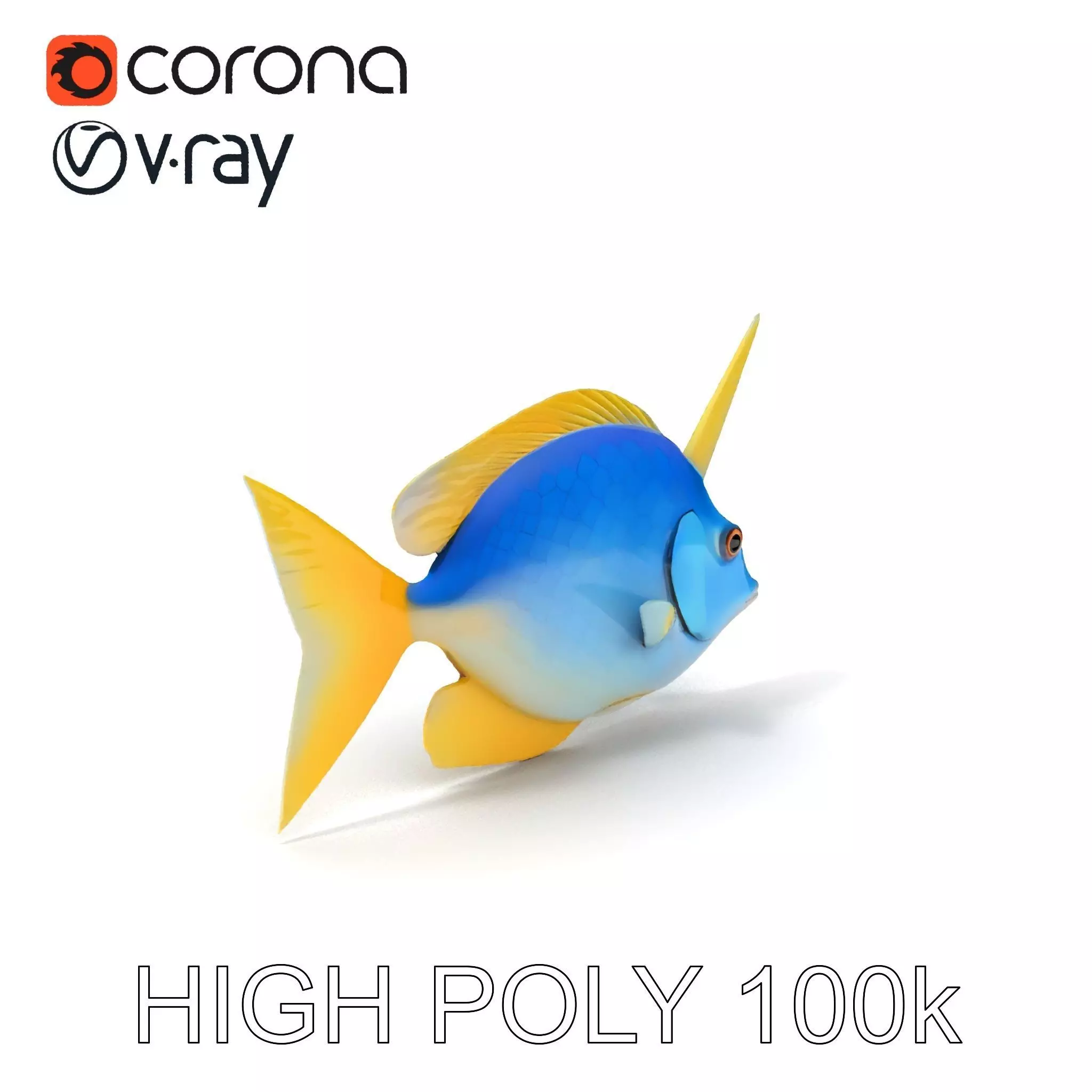 Colorful Fish Model Pack with Detailed Textures Low-poly 3D model_0