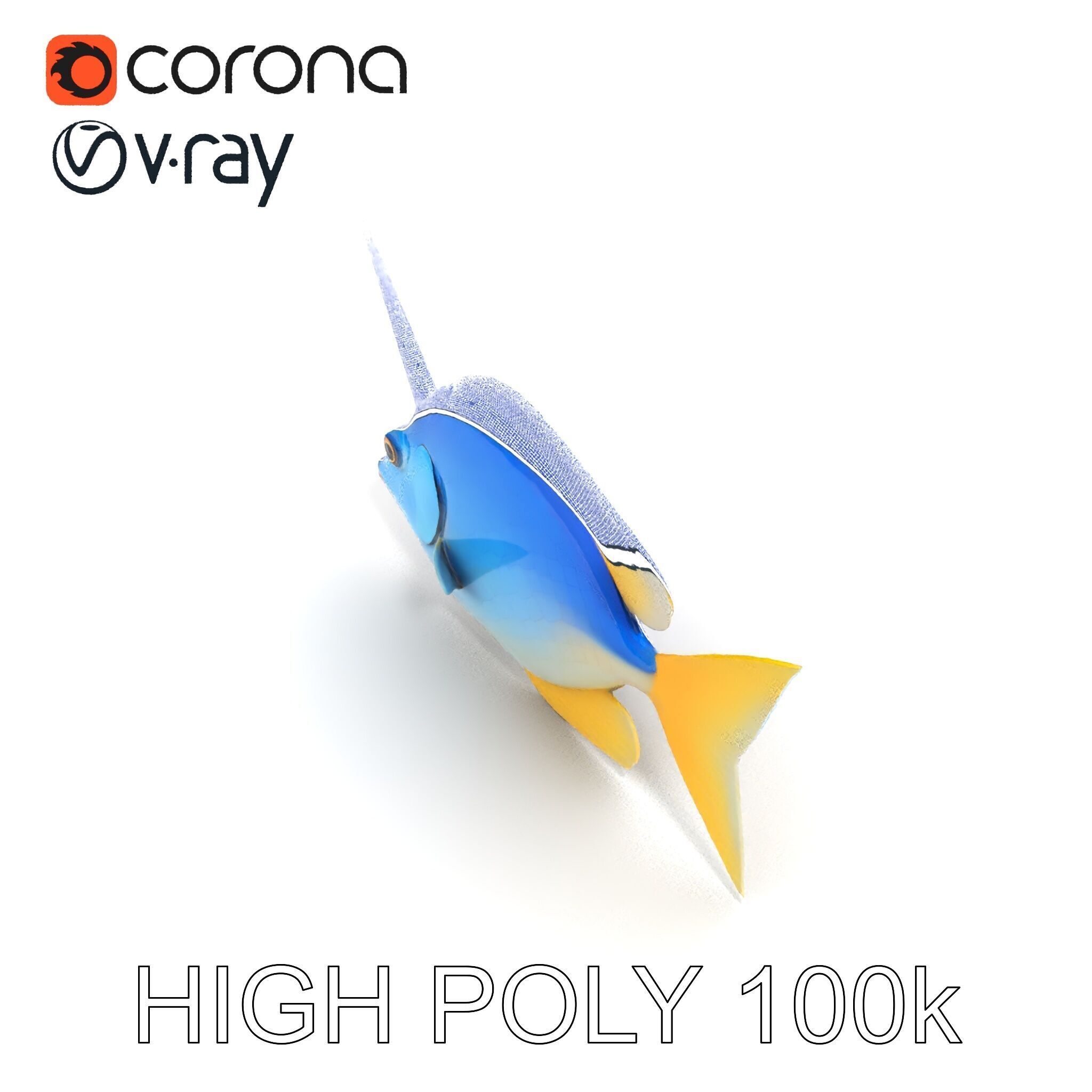 Colorful Fish Model Pack with Detailed Textures Low-poly 3D model_22