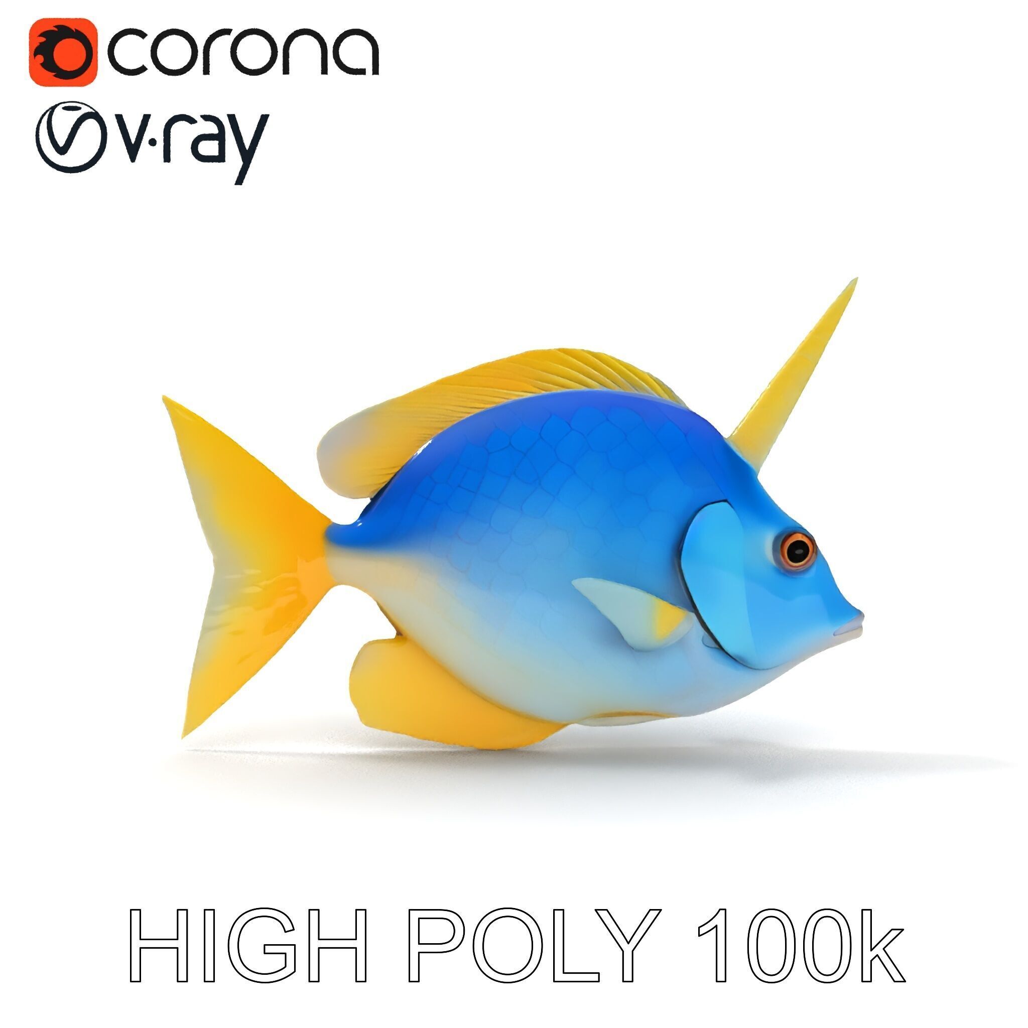 Colorful Fish Model Pack with Detailed Textures Low-poly 3D model_34