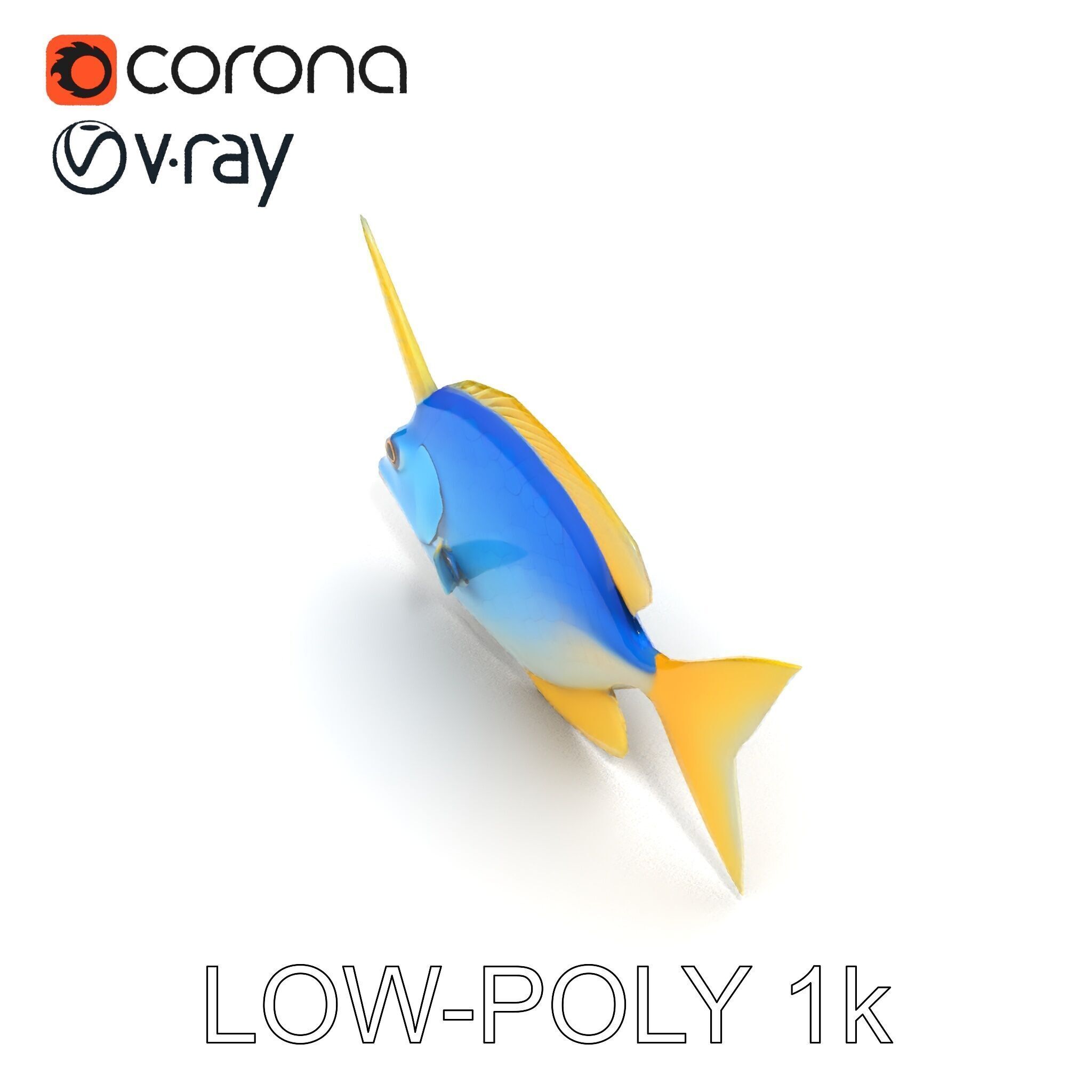 Colorful Fish Model Pack with Detailed Textures Low-poly 3D model_19