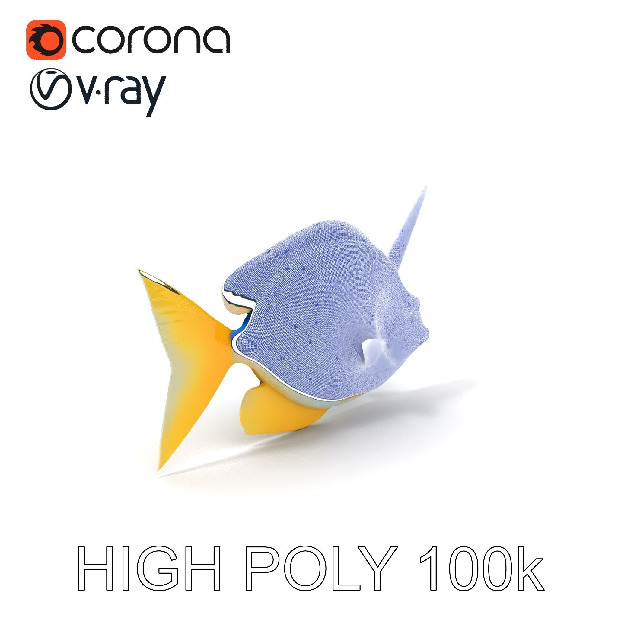 Colorful Fish Model Pack with Detailed Textures Low-poly 3D model_3