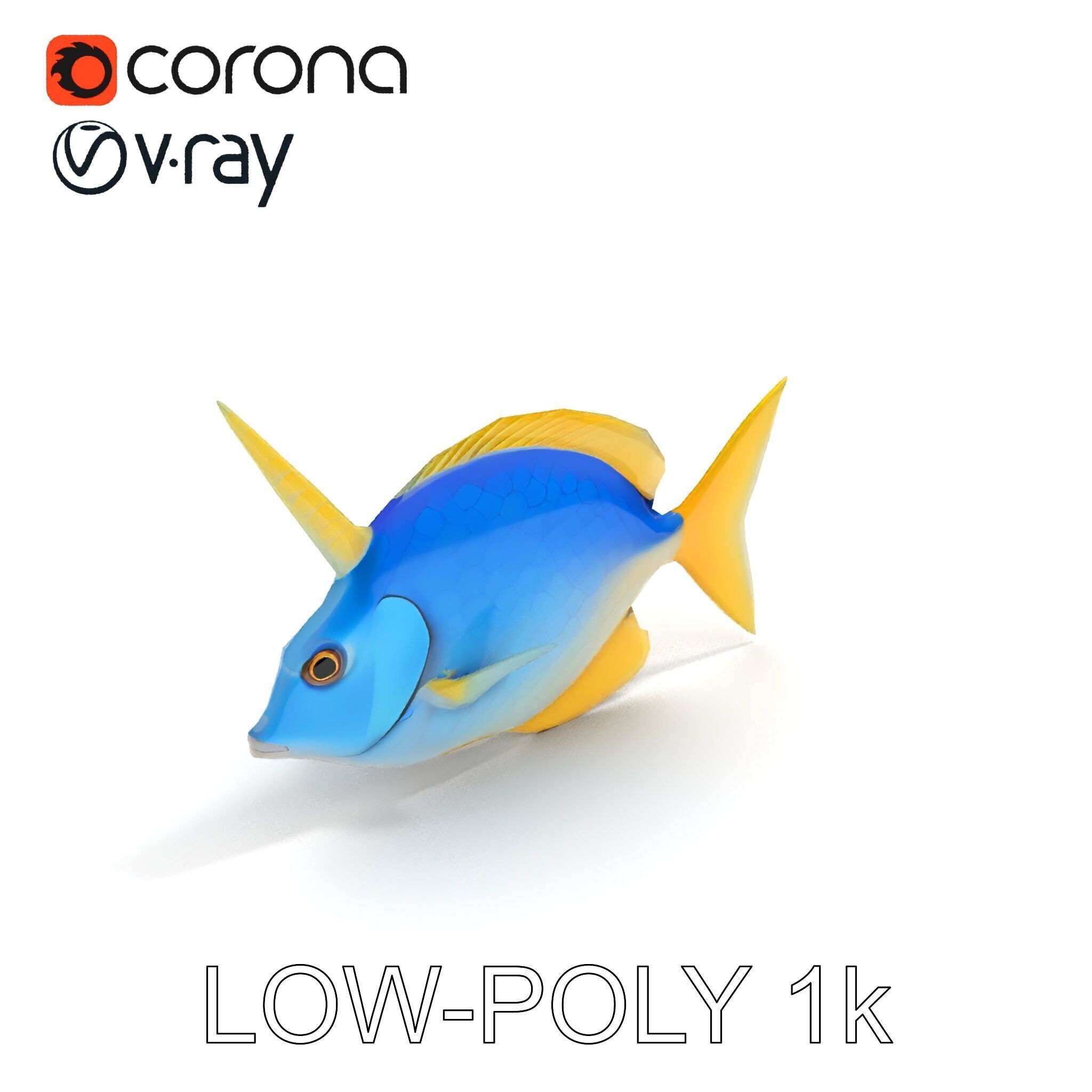 Colorful Fish Model Pack with Detailed Textures Low-poly 3D model_26