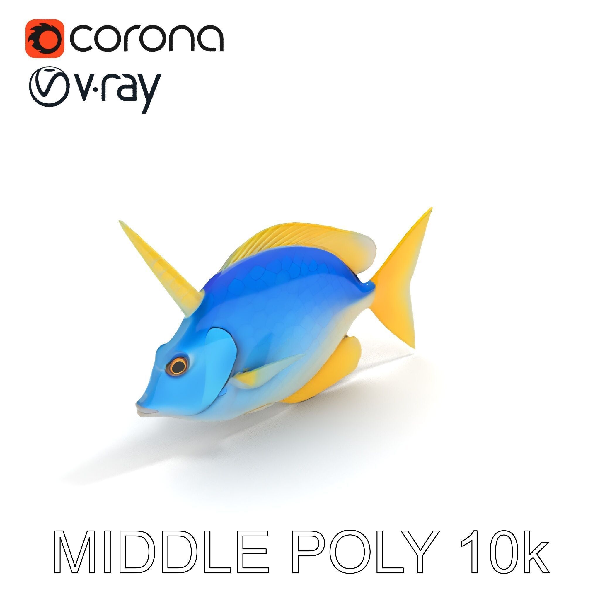 Colorful Fish Model Pack with Detailed Textures Low-poly 3D model_20