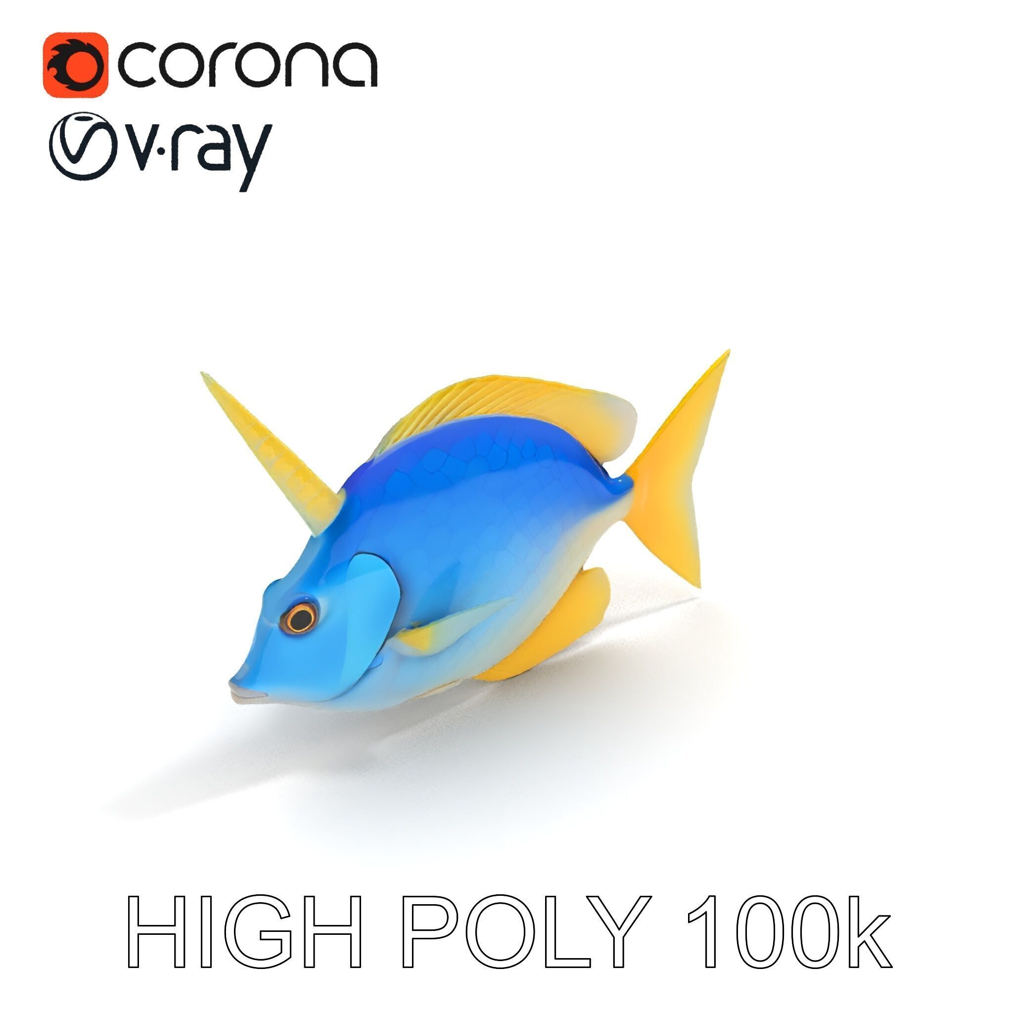Colorful Fish Model Pack with Detailed Textures Low-poly 3D model_29