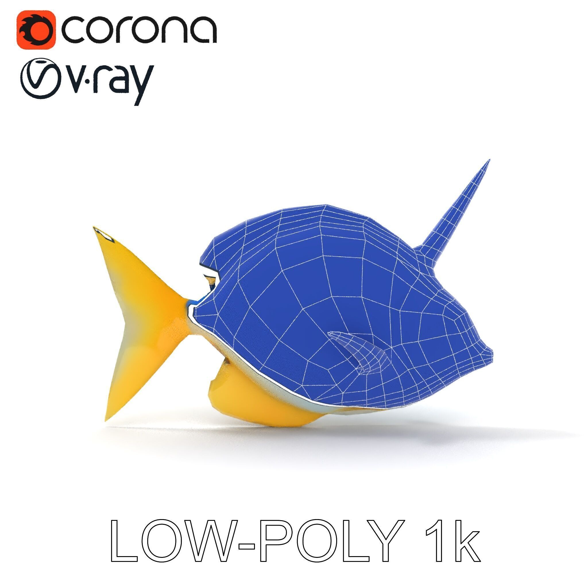 Colorful Fish Model Pack with Detailed Textures Low-poly 3D model_16