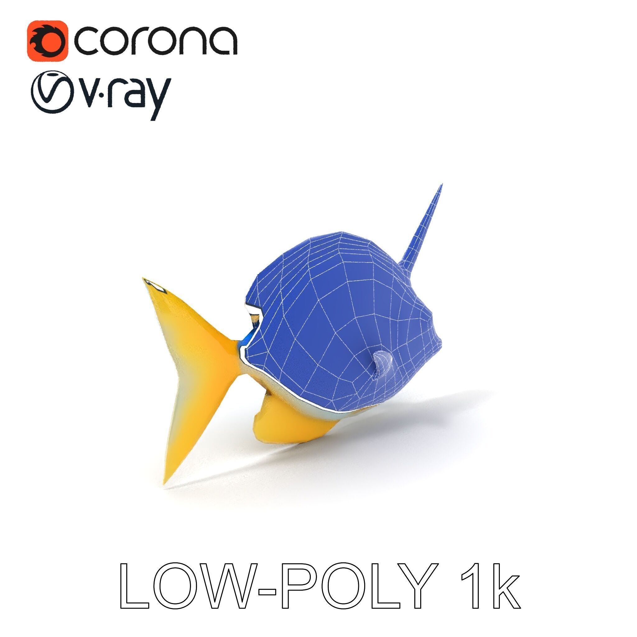 Colorful Fish Model Pack with Detailed Textures Low-poly 3D model_13