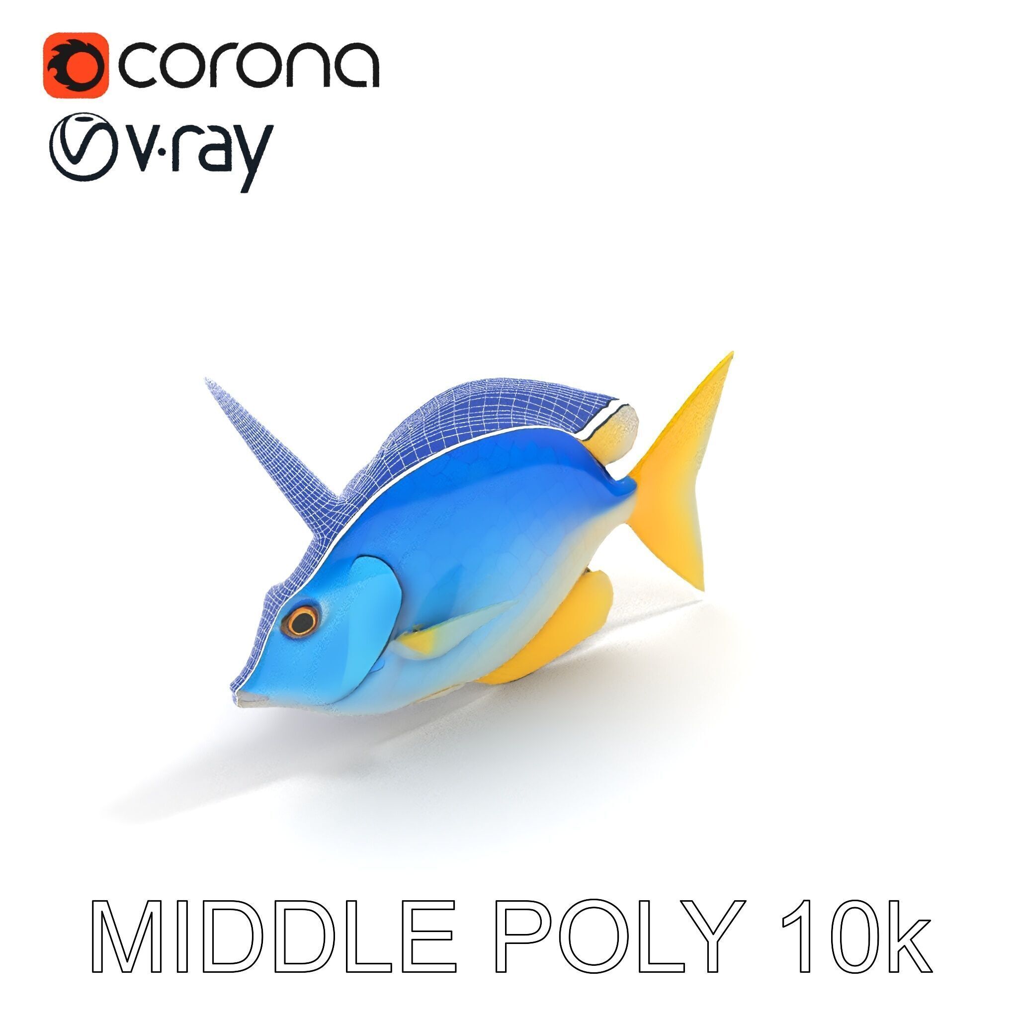 Colorful Fish Model Pack with Detailed Textures Low-poly 3D model_25