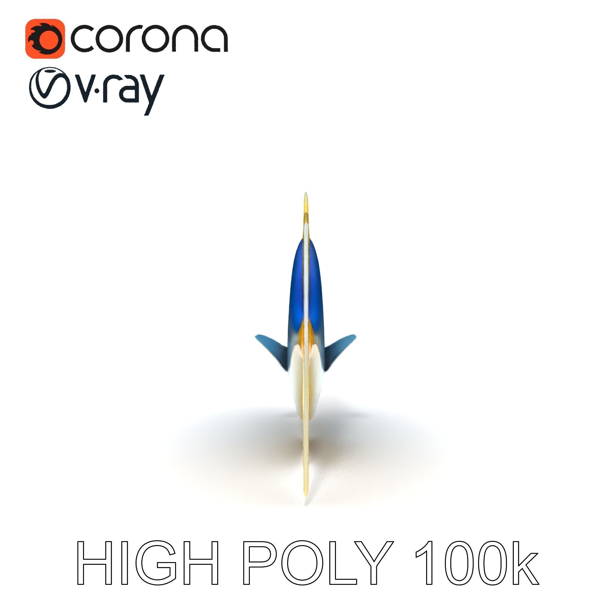 Colorful Fish Model Pack with Detailed Textures Low-poly 3D model_17