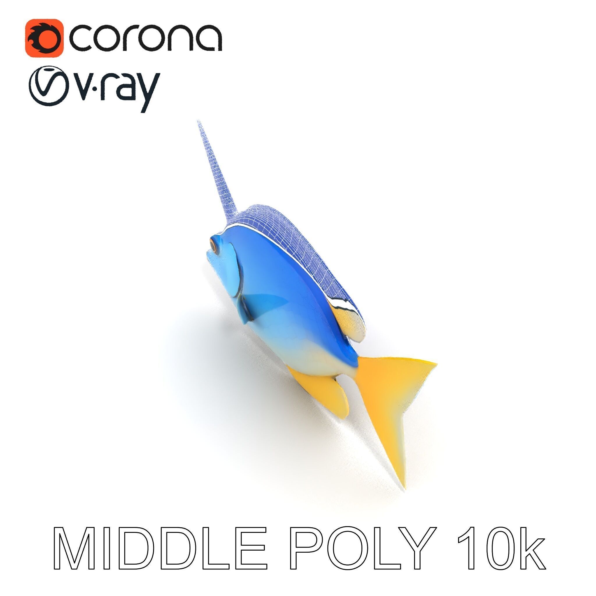 Colorful Fish Model Pack with Detailed Textures Low-poly 3D model_30