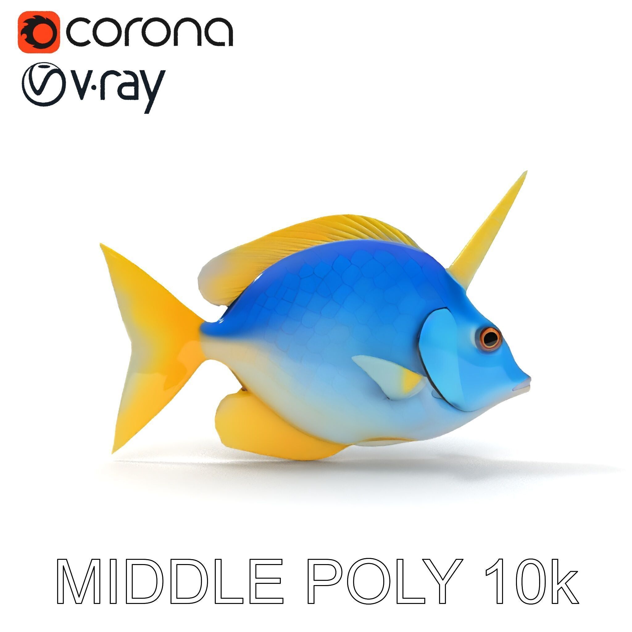 Colorful Fish Model Pack with Detailed Textures Low-poly 3D model_6