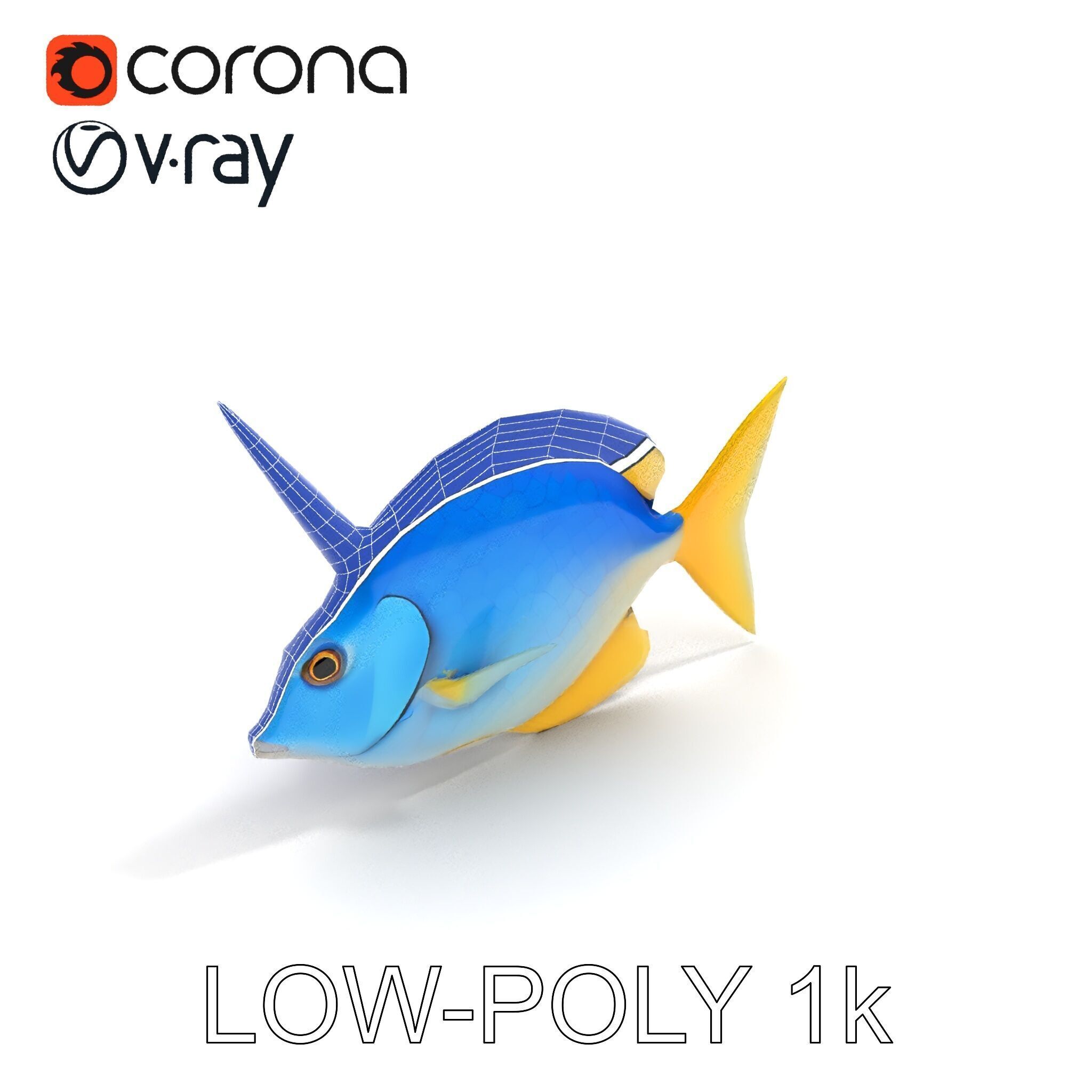 Colorful Fish Model Pack with Detailed Textures Low-poly 3D model_21