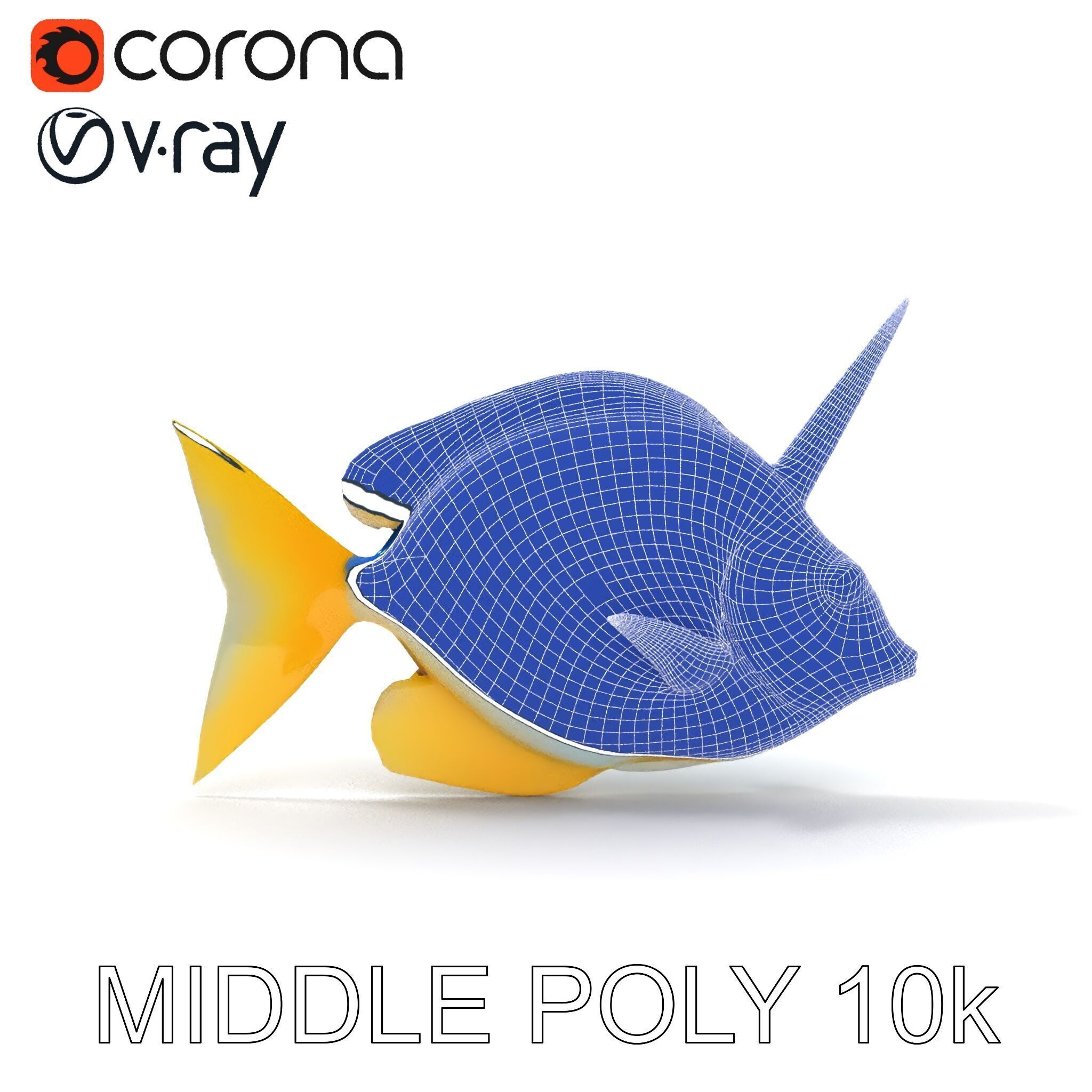 Colorful Fish Model Pack with Detailed Textures Low-poly 3D model_9