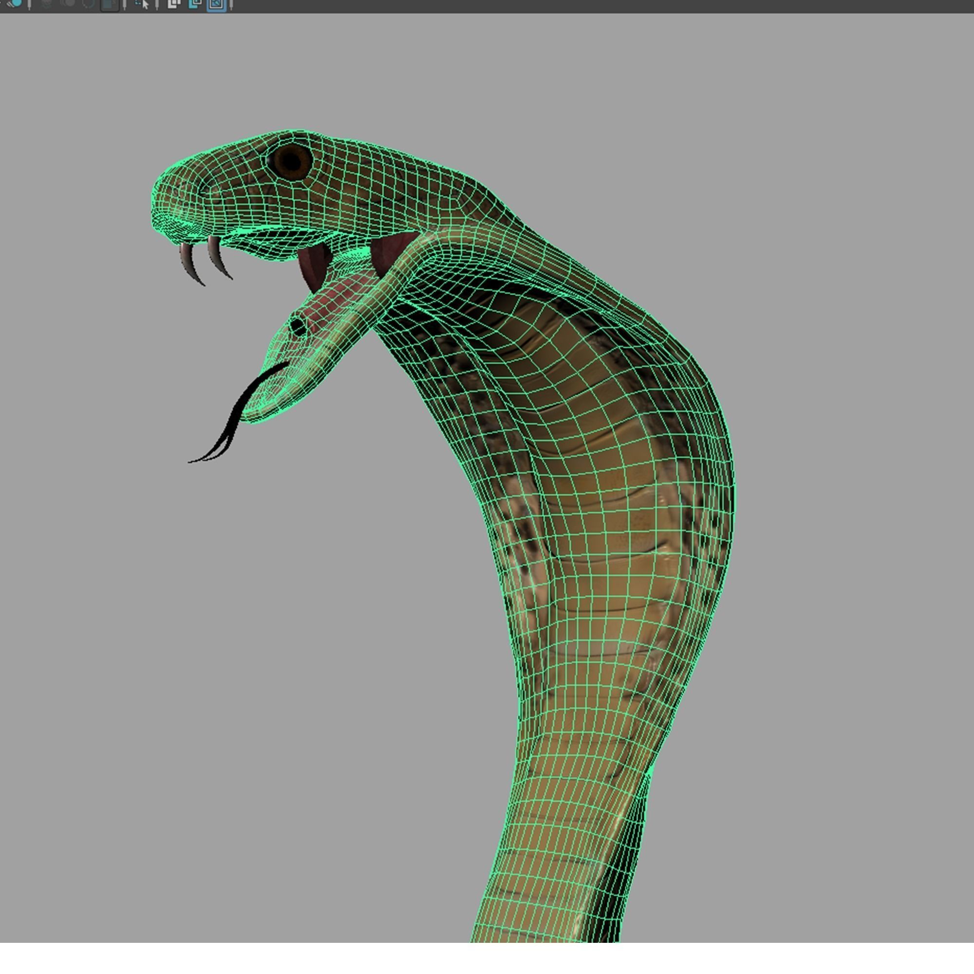 King Cobra Snake - Rigged Low-poly 3D model_11