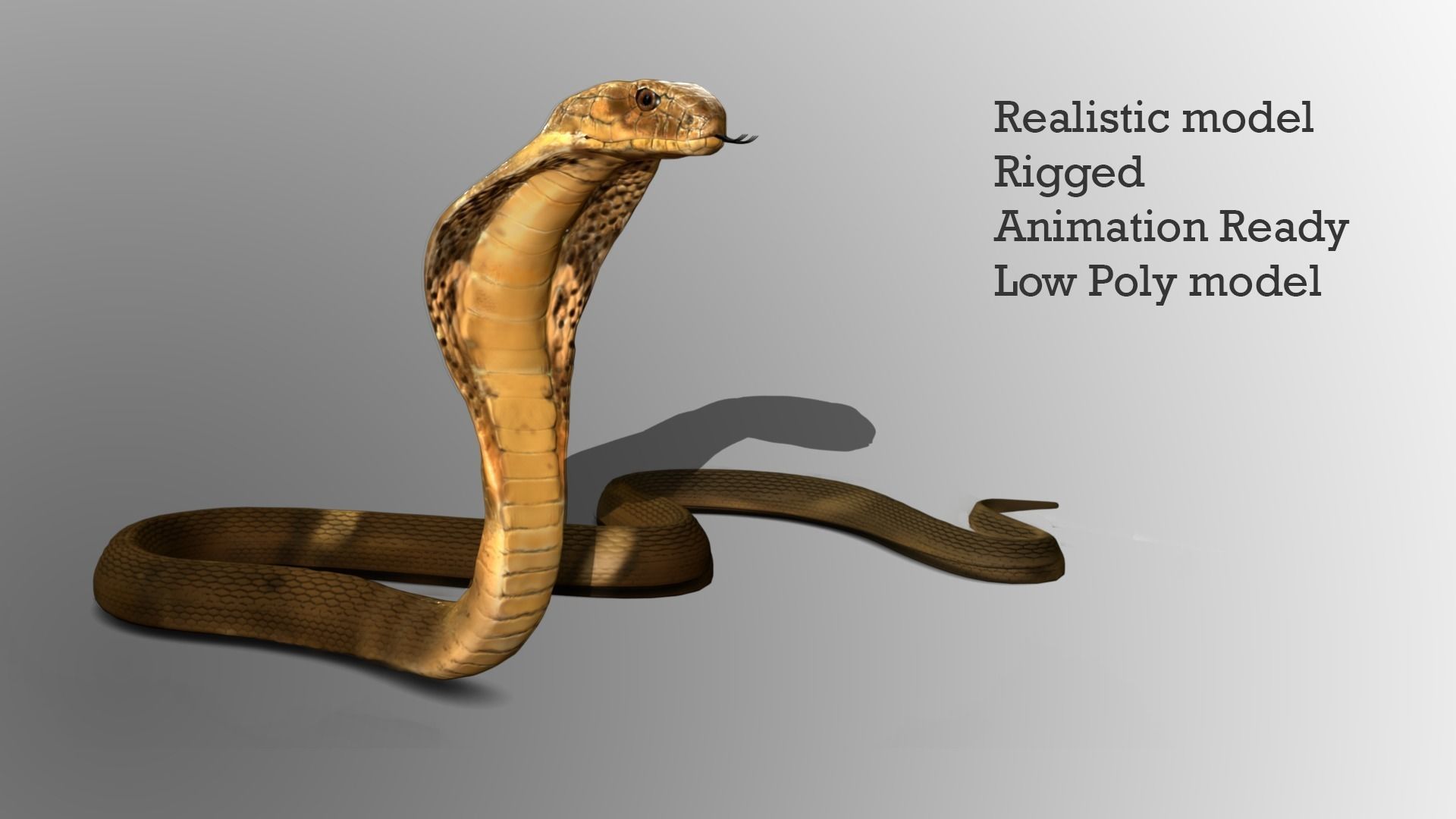 King Cobra Snake - Rigged Low-poly 3D model_3