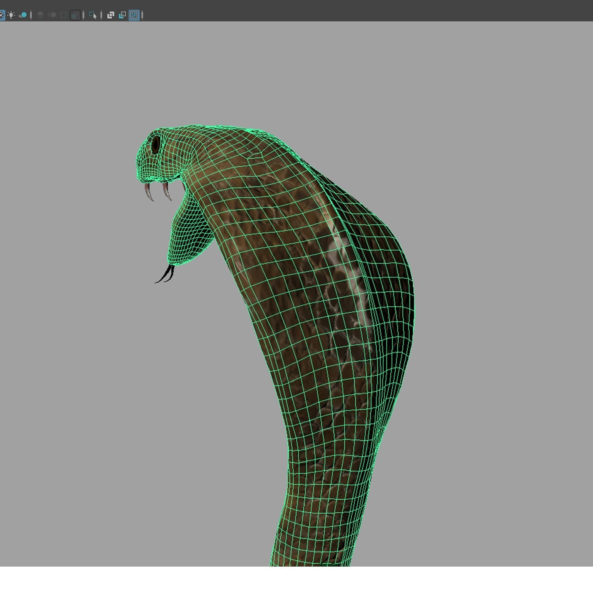 King Cobra Snake - Rigged Low-poly 3D model_12