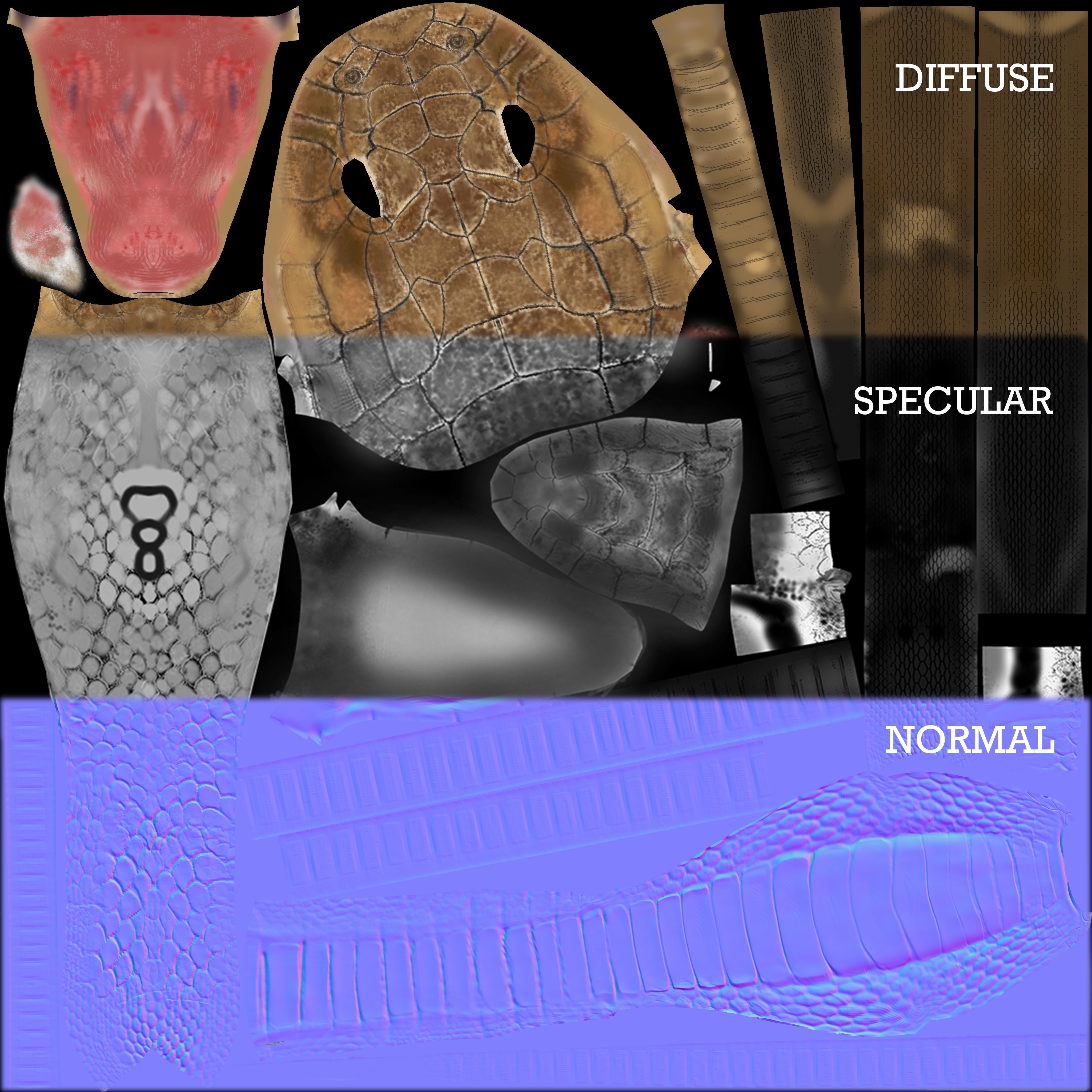 King Cobra Snake - Rigged Low-poly 3D model_16