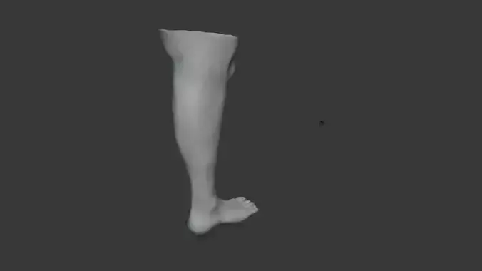 Leg Model No Textures