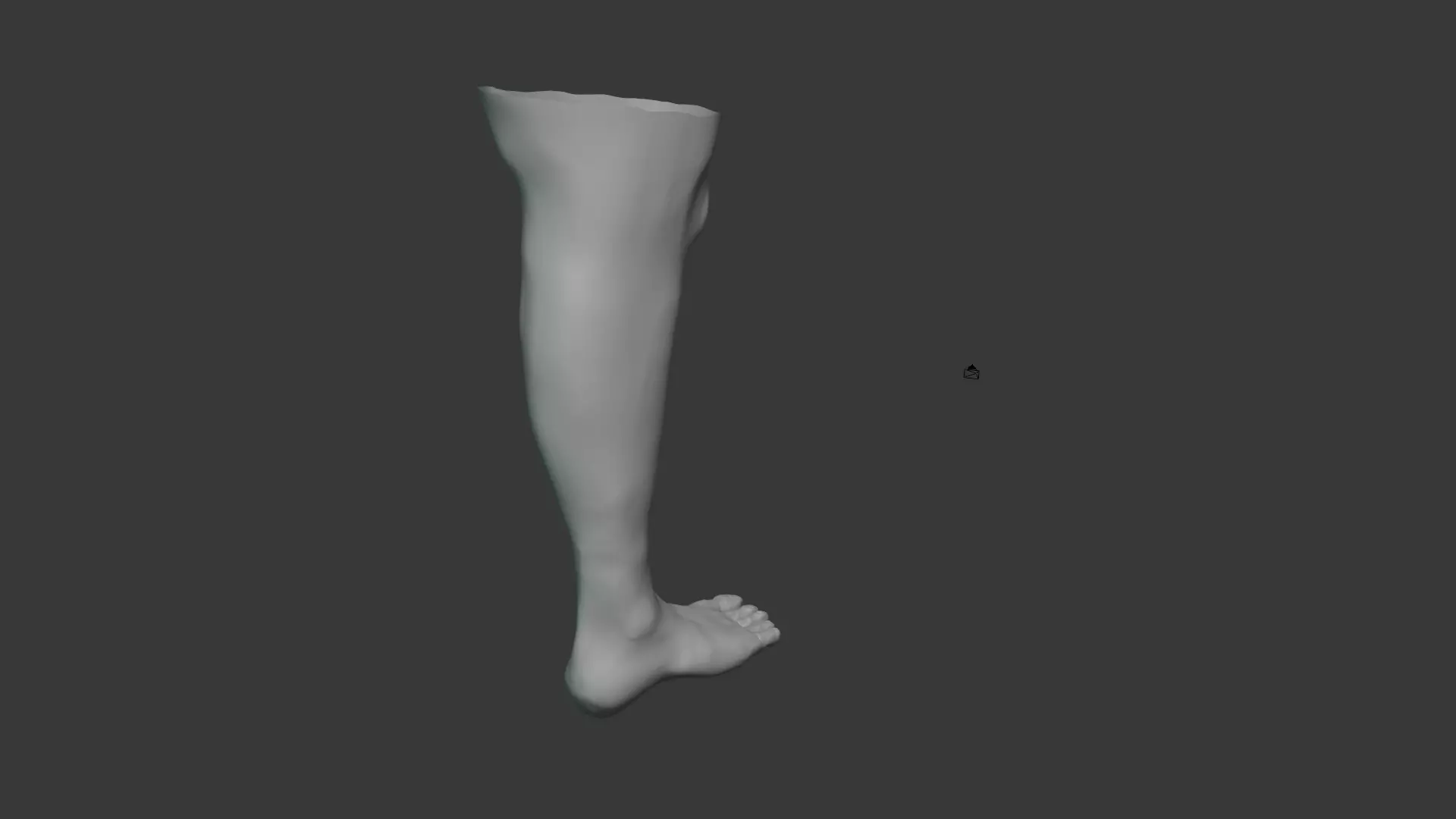 Leg Model No Textures 3D model