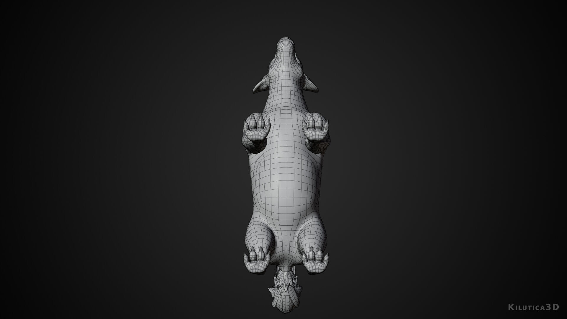 Cartoon-Realistic Spotted Hyena - Rigged for Blender Low-poly 3D model_12