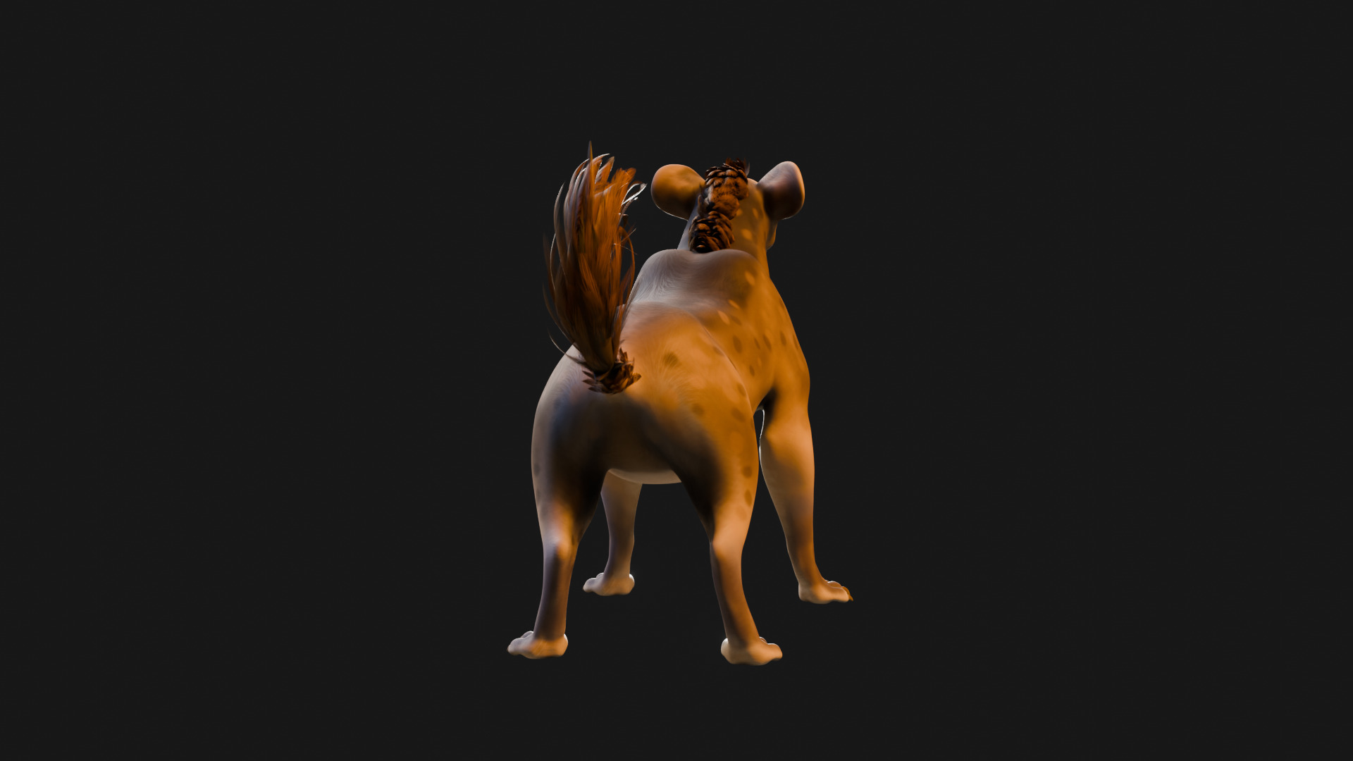 Cartoon-Realistic Spotted Hyena - Rigged for Blender Low-poly 3D model_31