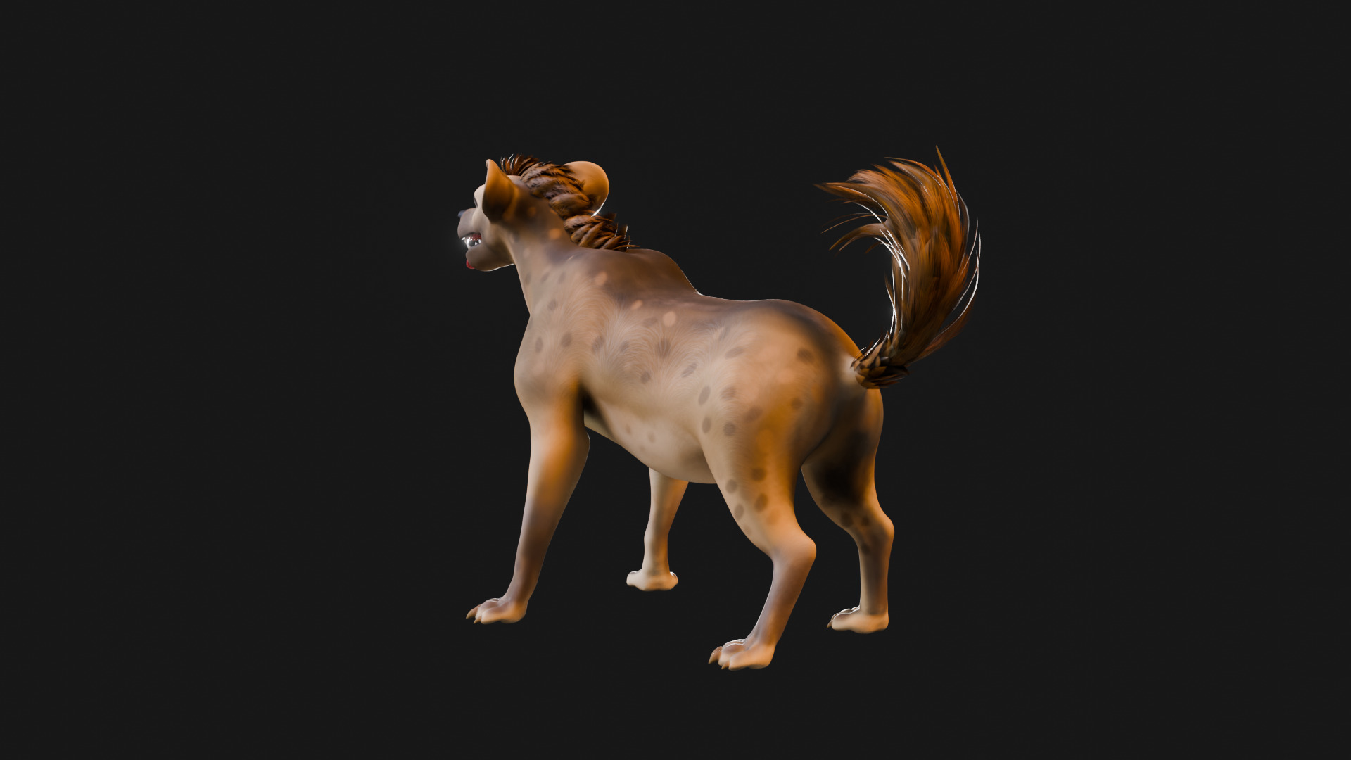 Cartoon-Realistic Spotted Hyena - Rigged for Blender Low-poly 3D model_35