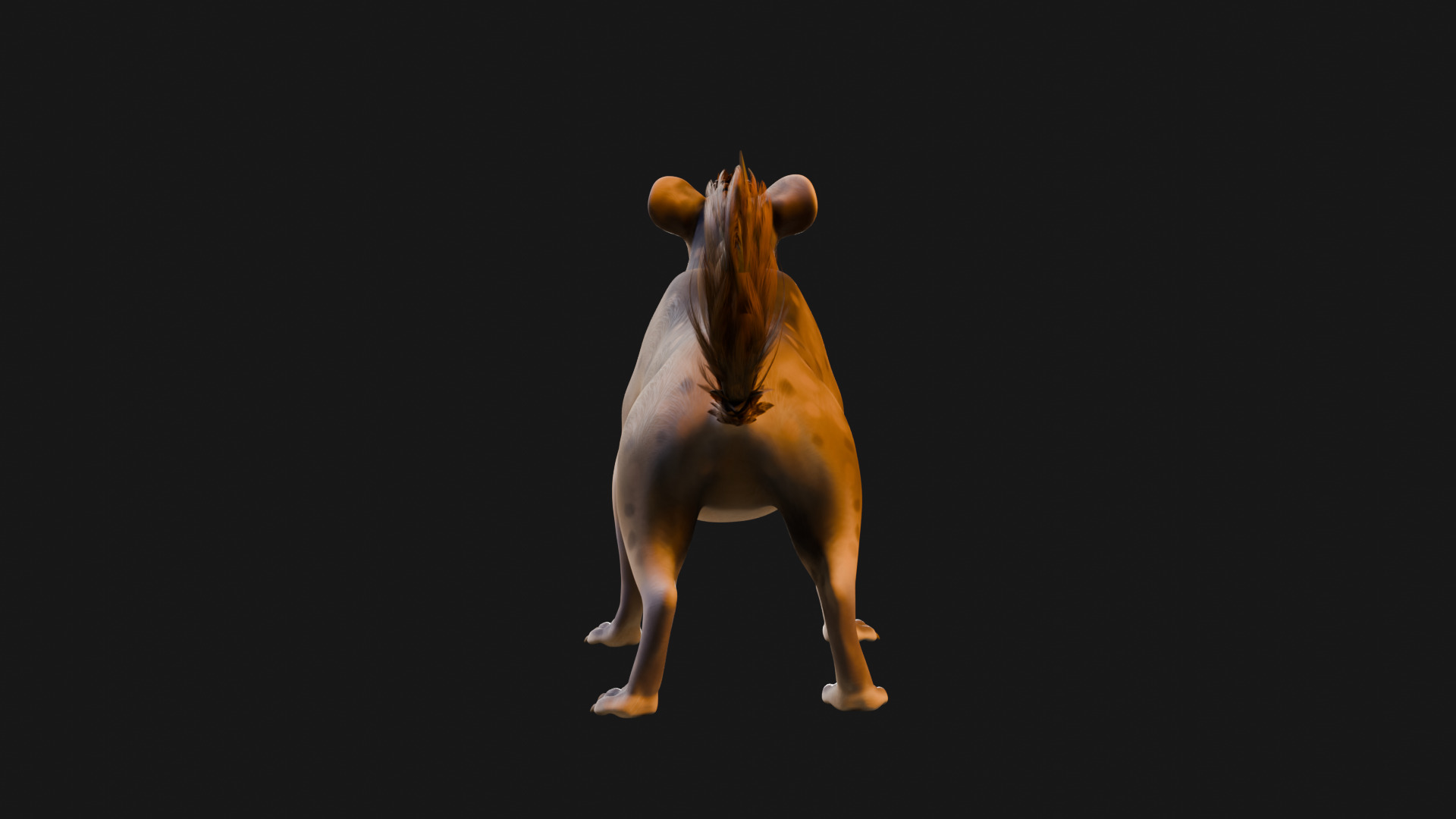 Cartoon-Realistic Spotted Hyena - Rigged for Blender Low-poly 3D model_32