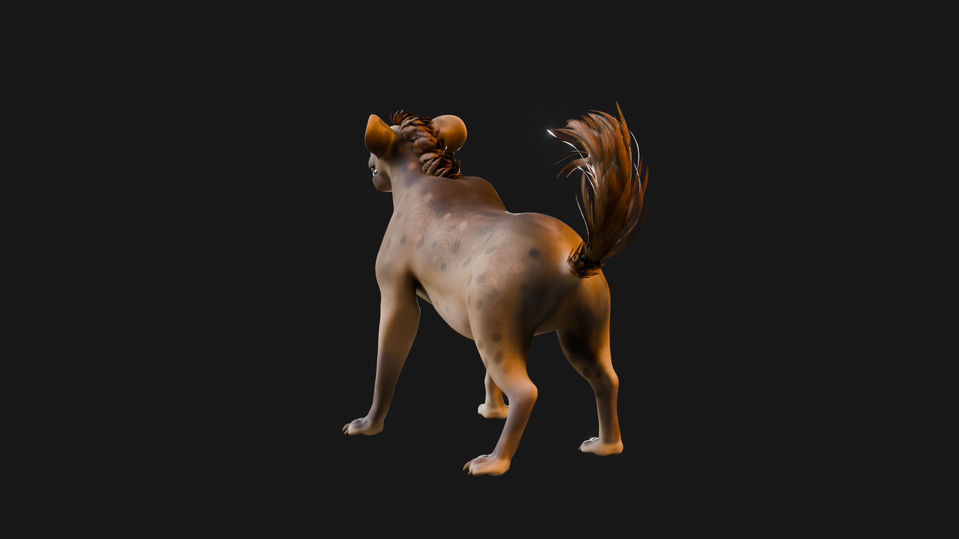 Cartoon-Realistic Spotted Hyena - Rigged for Blender Low-poly 3D model_34