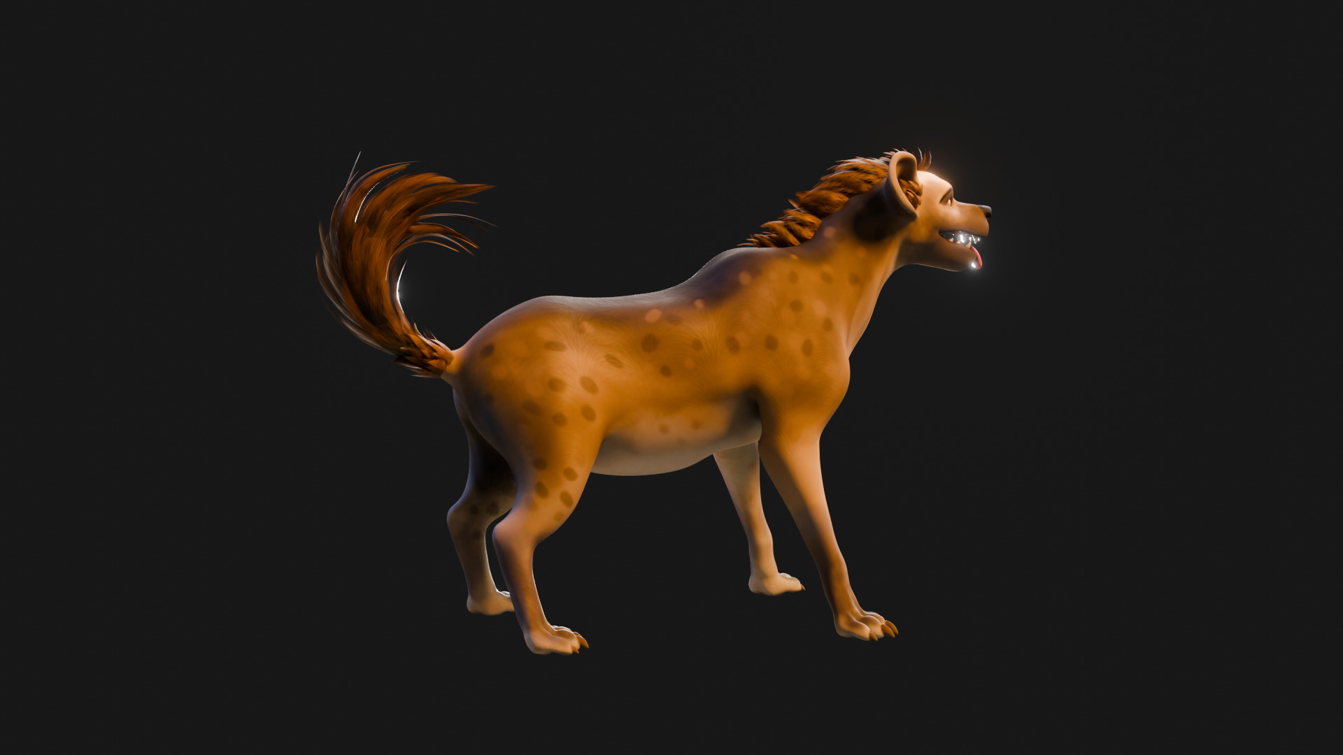 Cartoon-Realistic Spotted Hyena - Rigged for Blender Low-poly 3D model_27