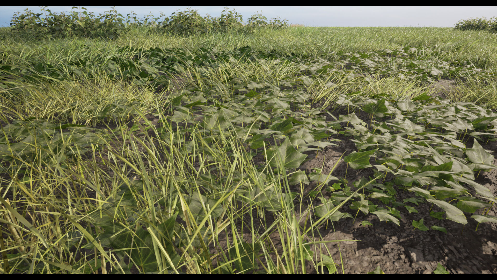 Grass Low-poly 3D model_11