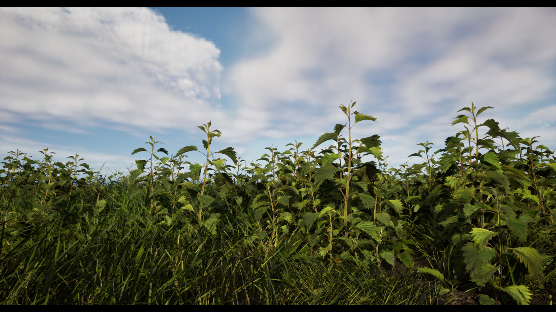 Grass Low-poly 3D model_5