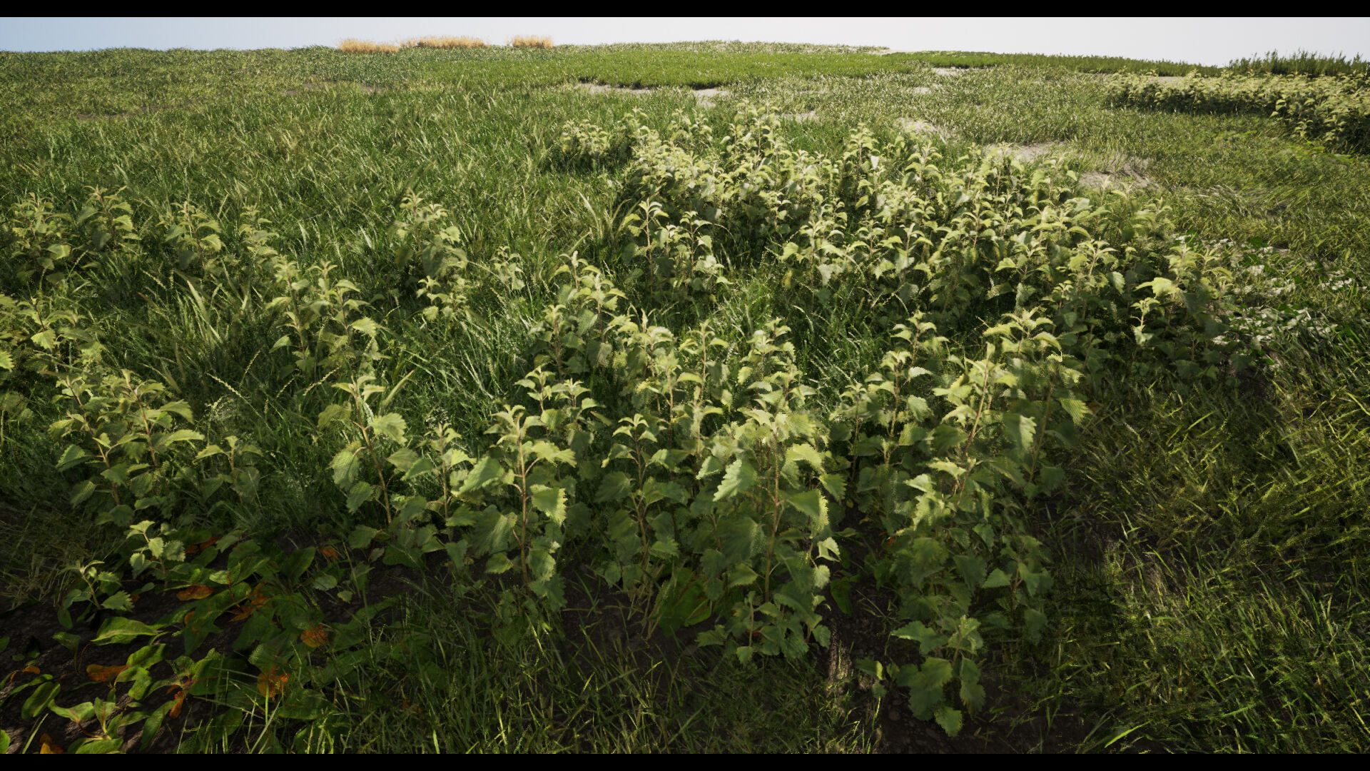 Grass Low-poly 3D model_9