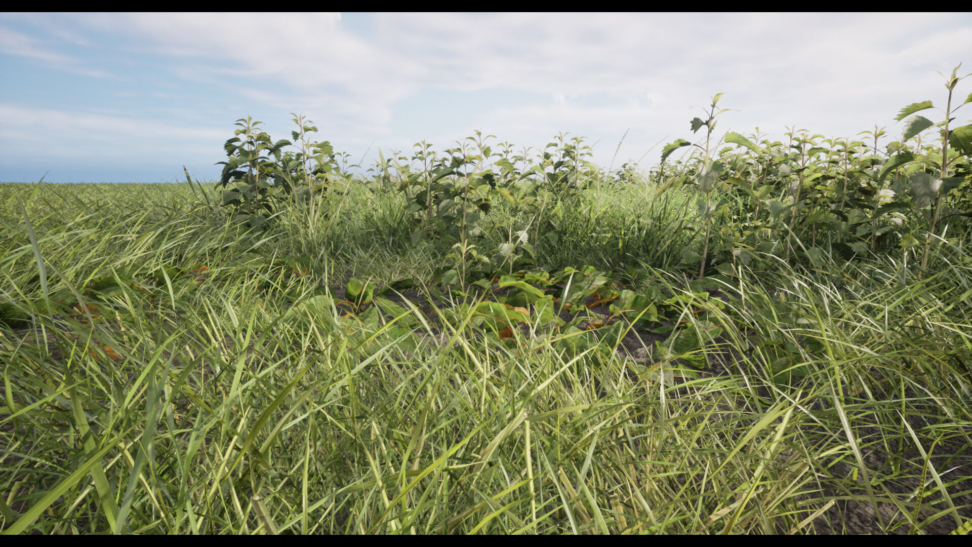 Grass Low-poly 3D model_2