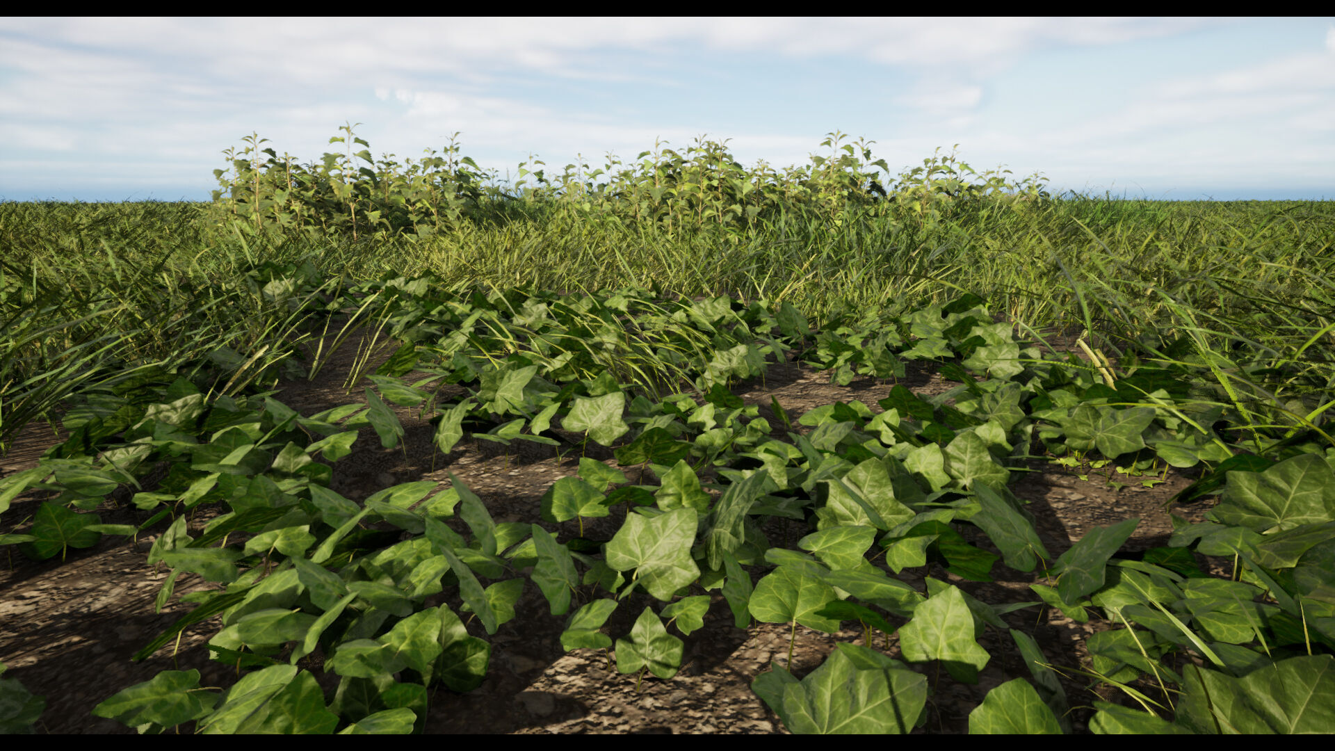 Grass Low-poly 3D model_4