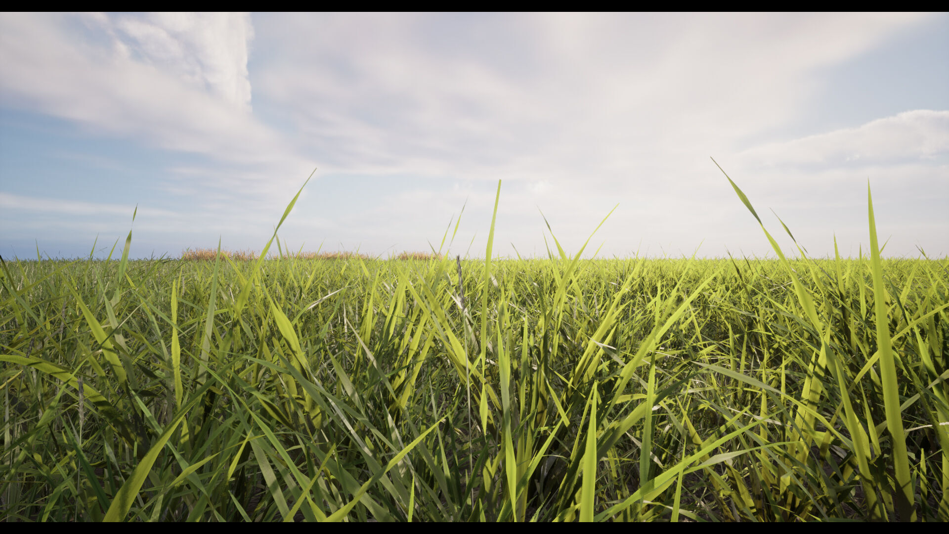 Grass Low-poly 3D model_14