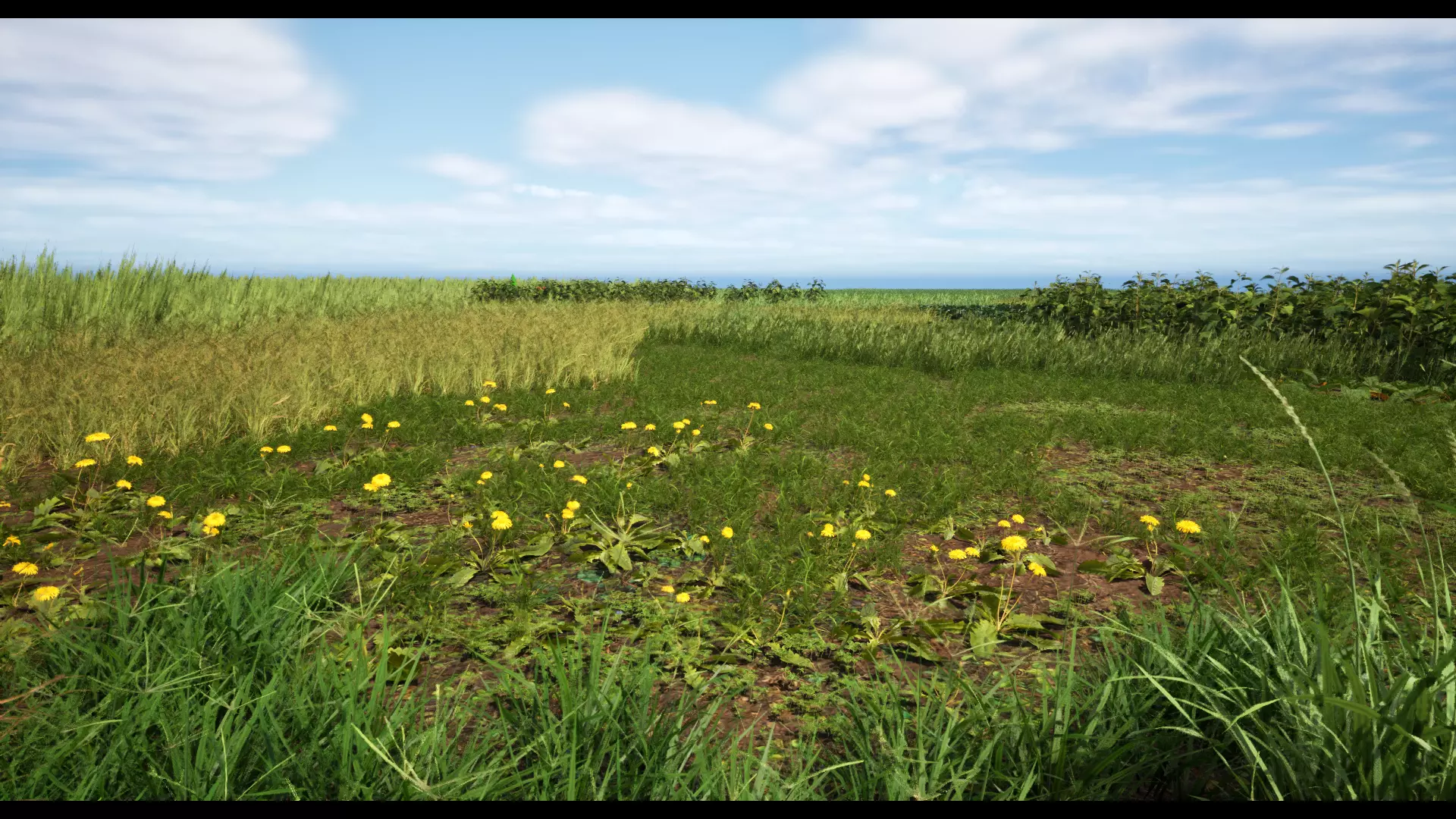 Grass Low-poly 3D model