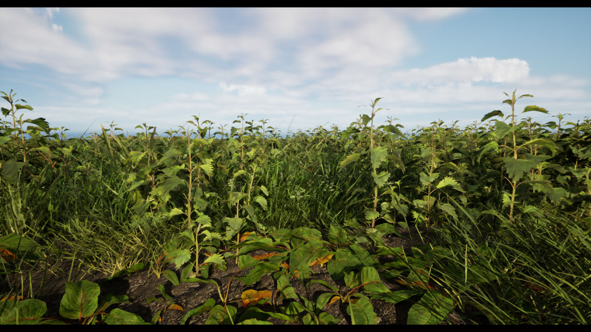 Grass Low-poly 3D model_6