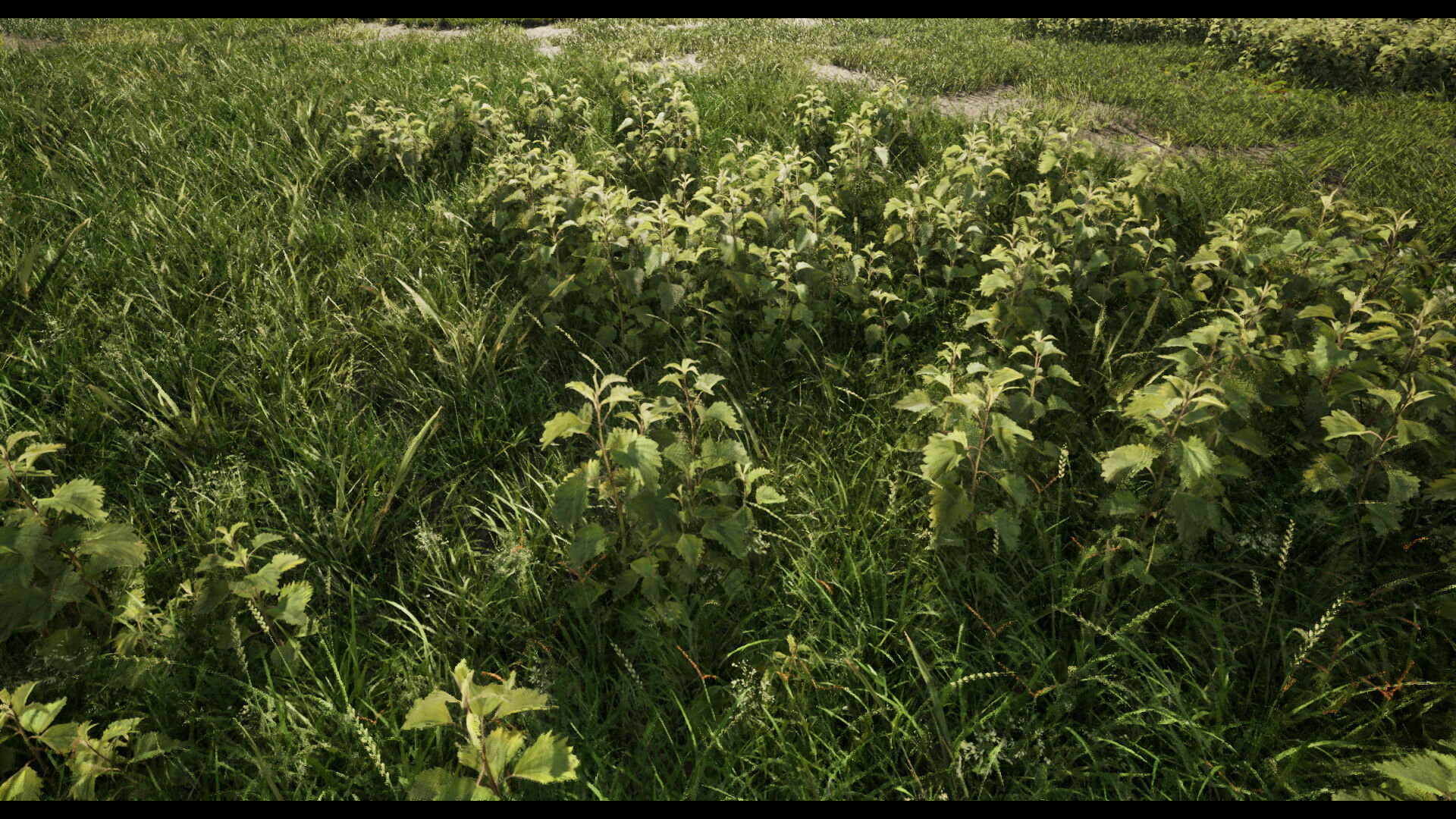 Grass Low-poly 3D model_7