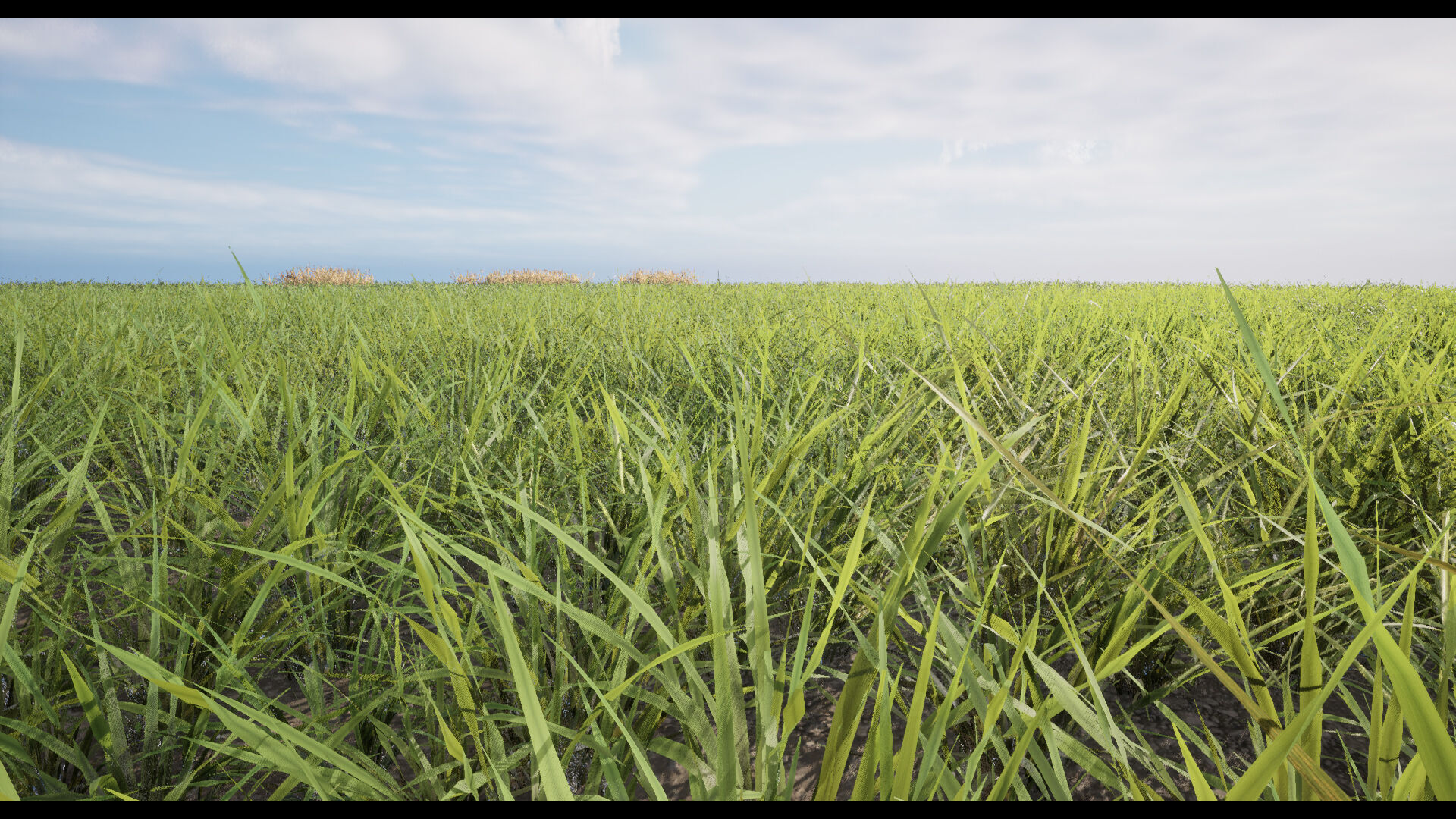 Grass Low-poly 3D model_10