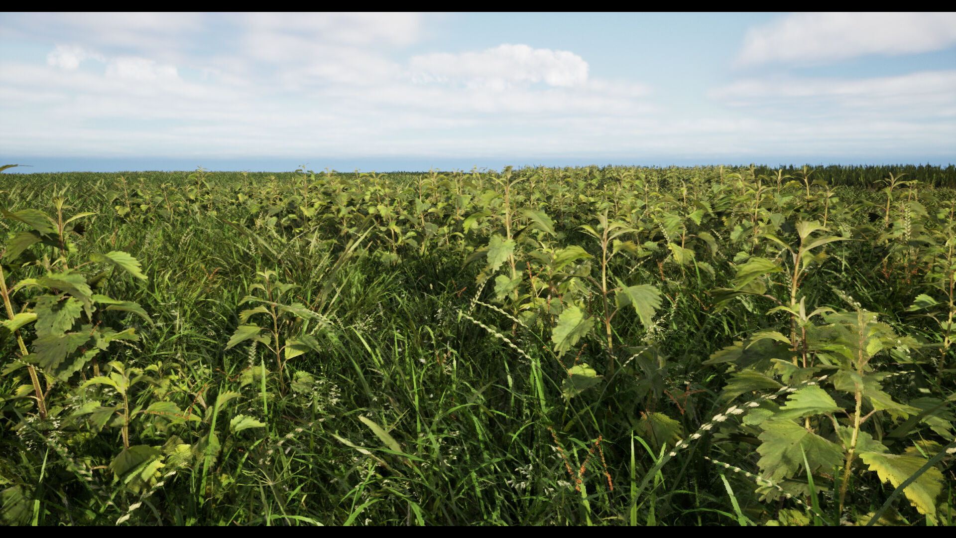 Grass Low-poly 3D model_3