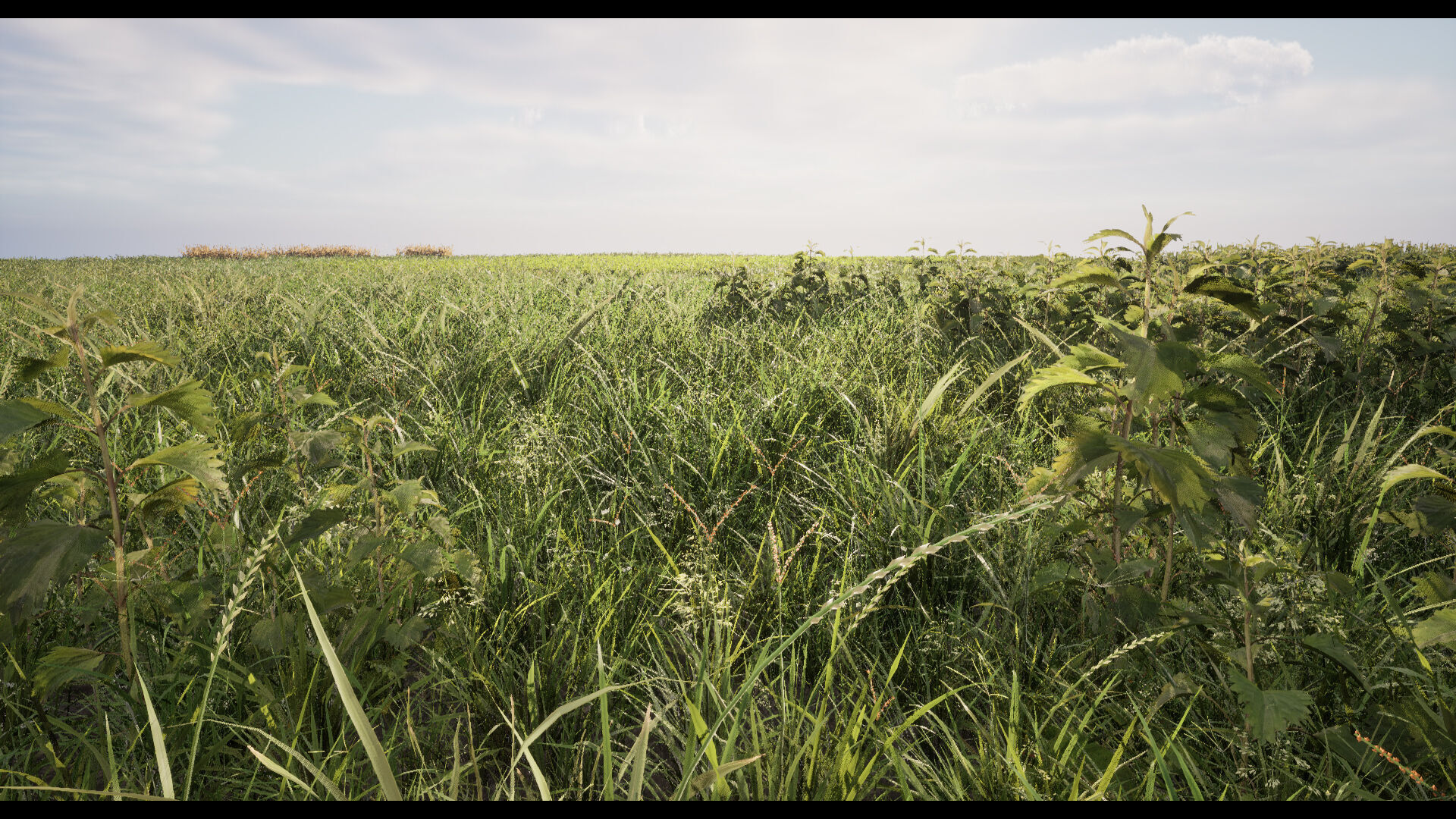 Grass Low-poly 3D model_12