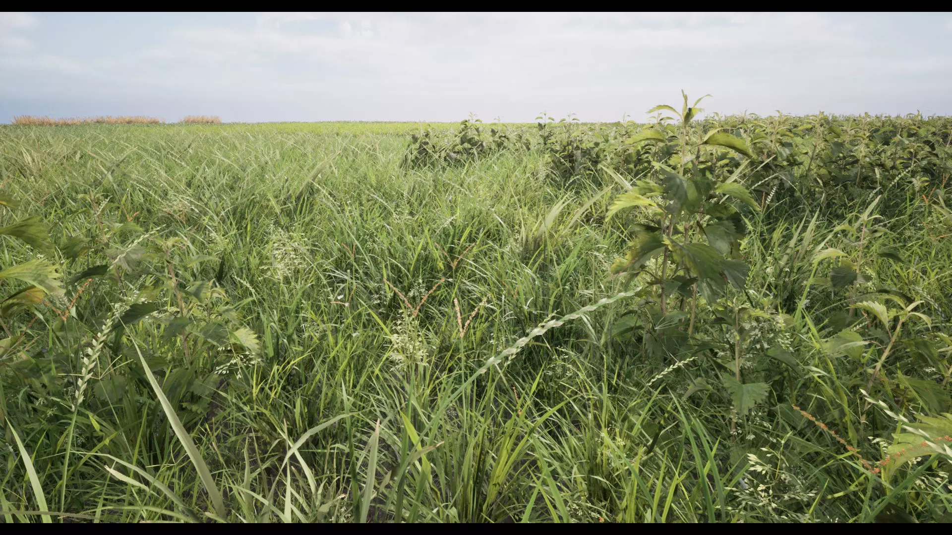 Grass Low-poly 3D model_0