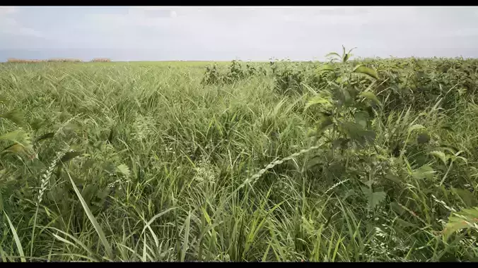 Grass Low-poly 3D model